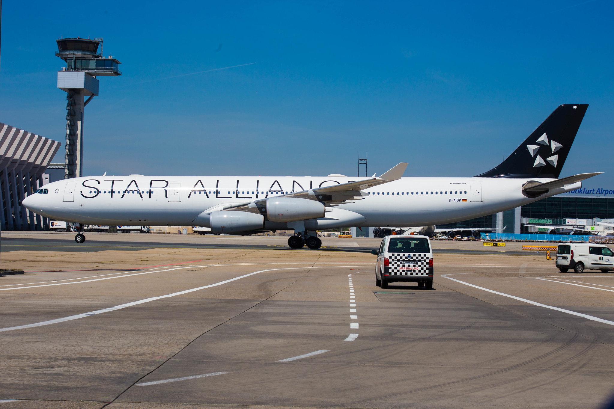 Frankfurt Airport: Lufthansa (LH / DLH) |  Livery: Star Alliance Livery |  Airbus A340-313 A343 | D-AIGP | MSN 0252