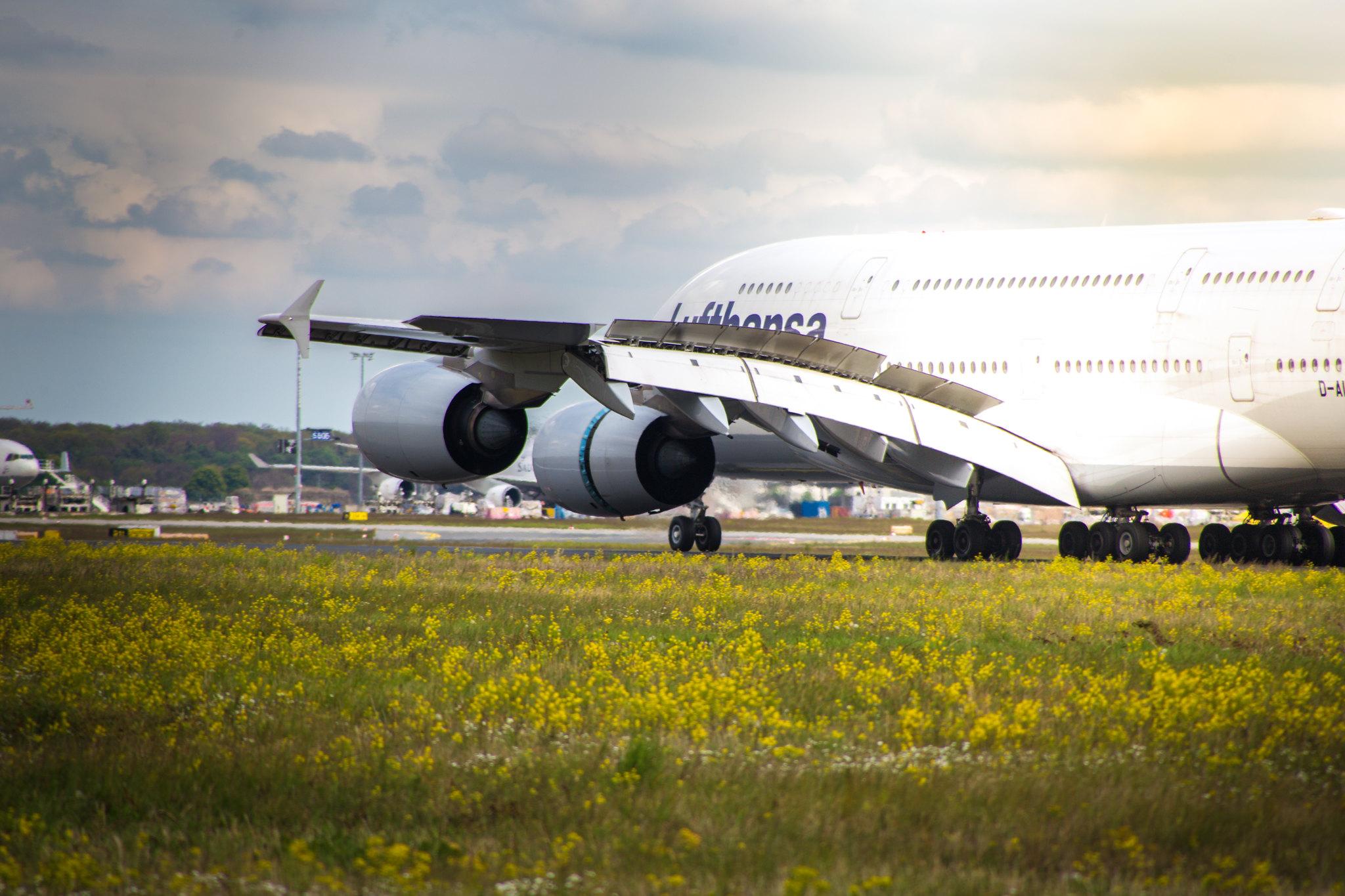 Frankfurt Airport: Lufthansa (LH / DLH) |  Airbus A380-841 A388 | D-AIML | MSN 149