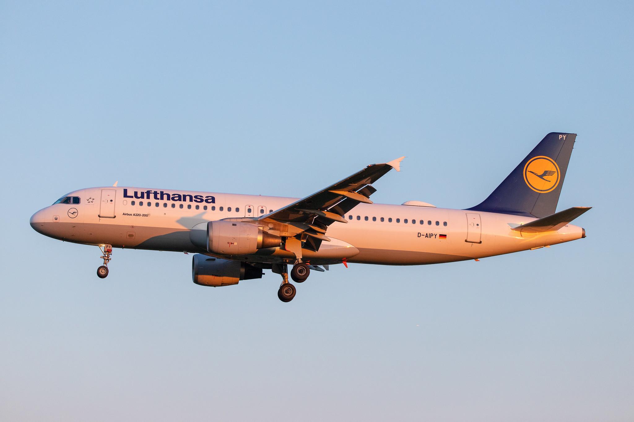 Hamburg Airport: Lufthansa (LH / DLH) |  Airbus A320-211 A320 | D-AIPY | MSN 0161