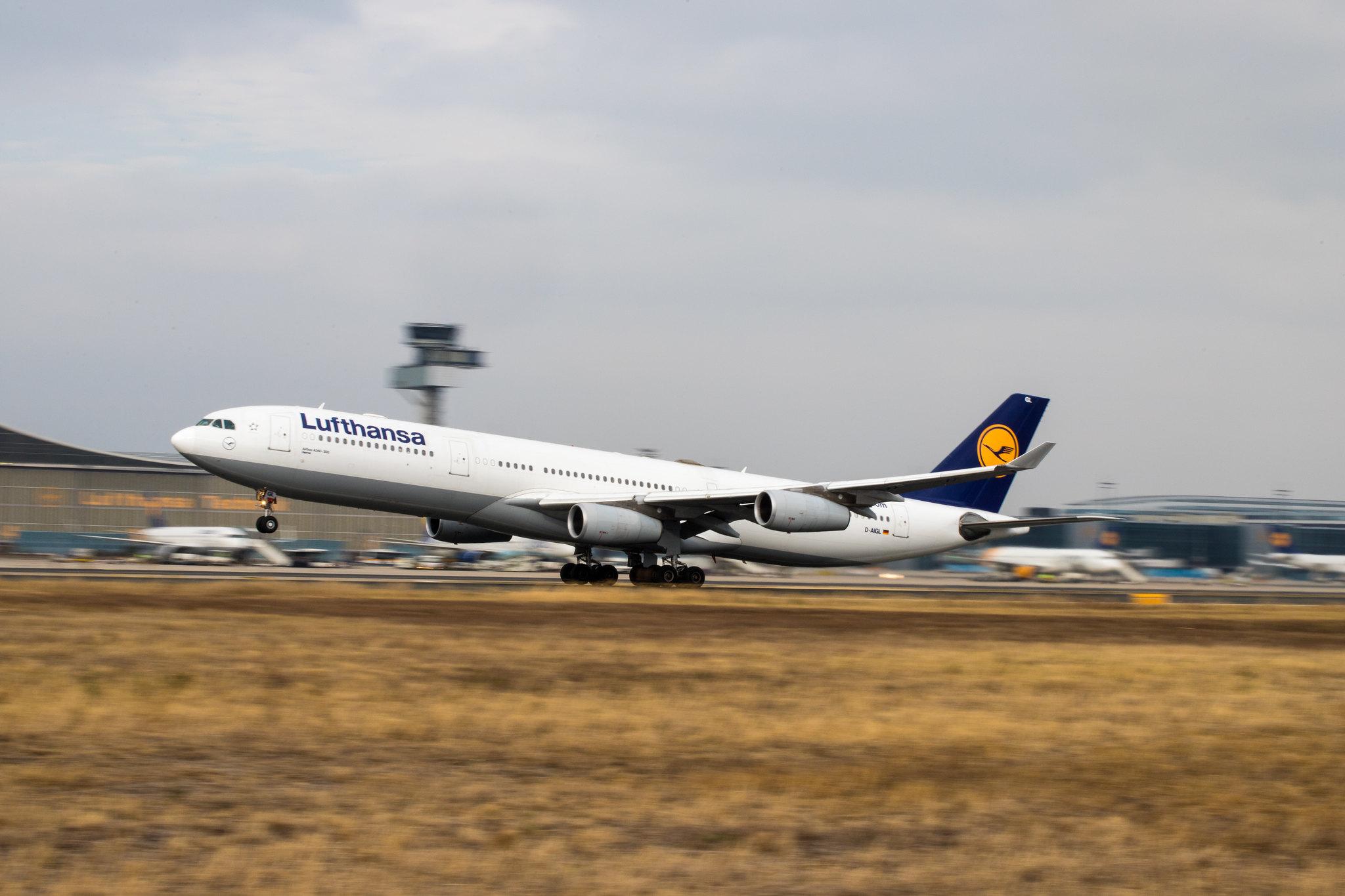 Frankfurt Airport: Lufthansa (LH / DLH) |  Airbus A340-313 A343 | D-AIGL | MSN 0135