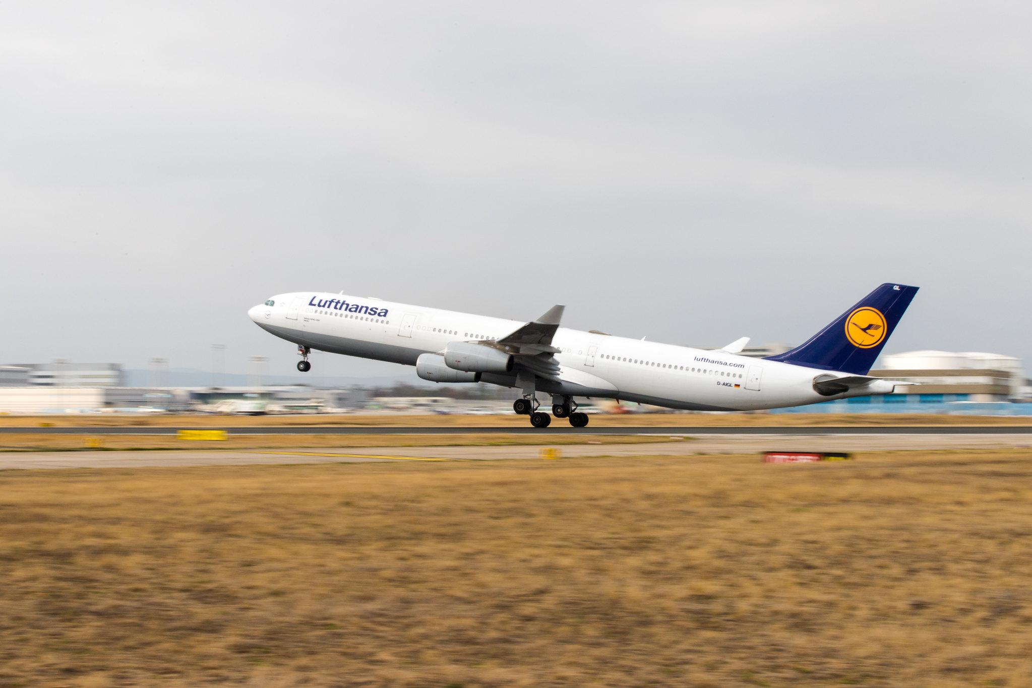Frankfurt Airport: Lufthansa (LH / DLH) |  Airbus A340-313 A343 | D-AIGL | MSN 0135