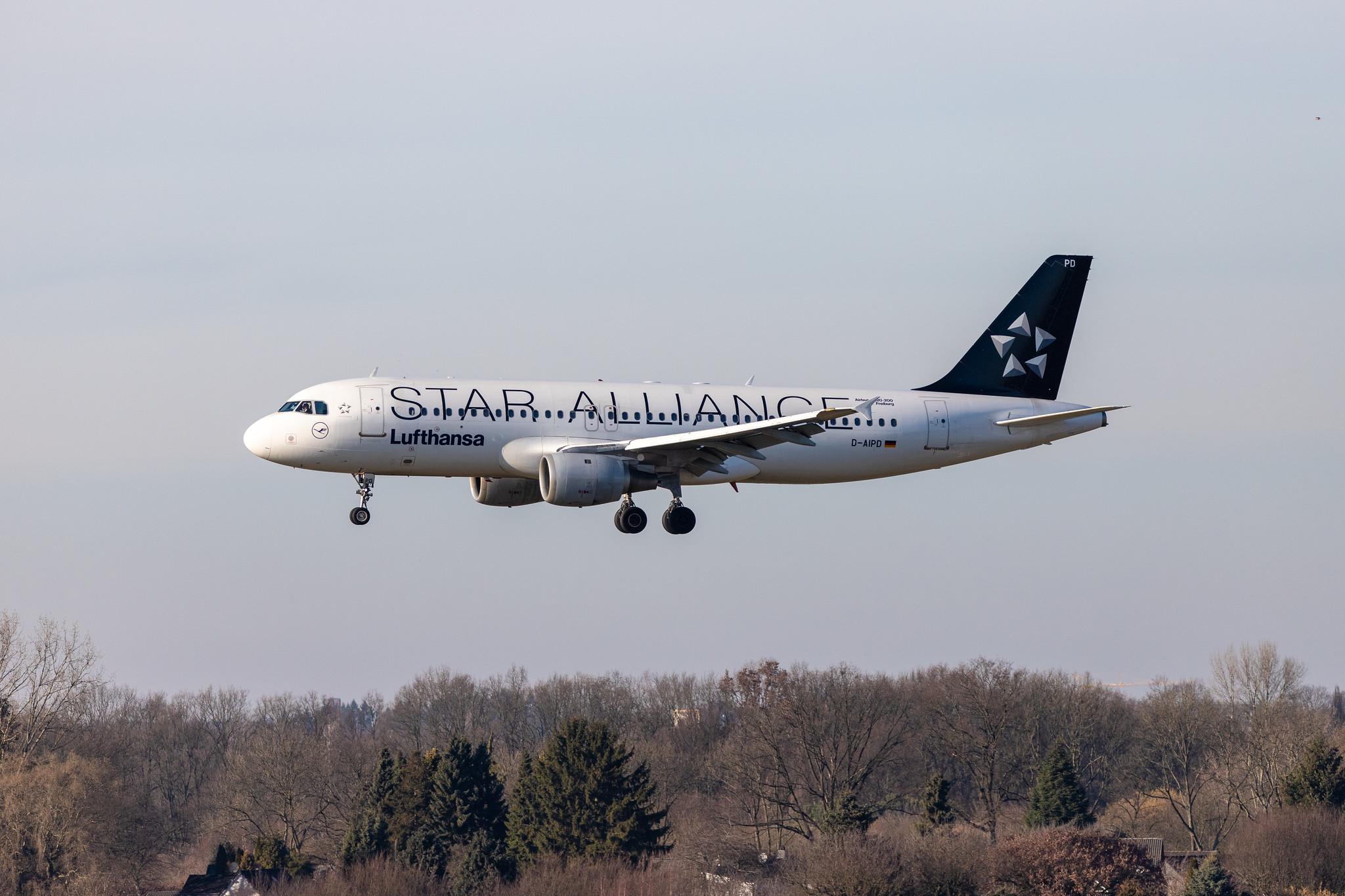 Hamburg Airport: Lufthansa (LH / DLH) | Livery: Star Alliance Livery |  Airbus A320-211 A320 | D-AIPD | MSN 0072