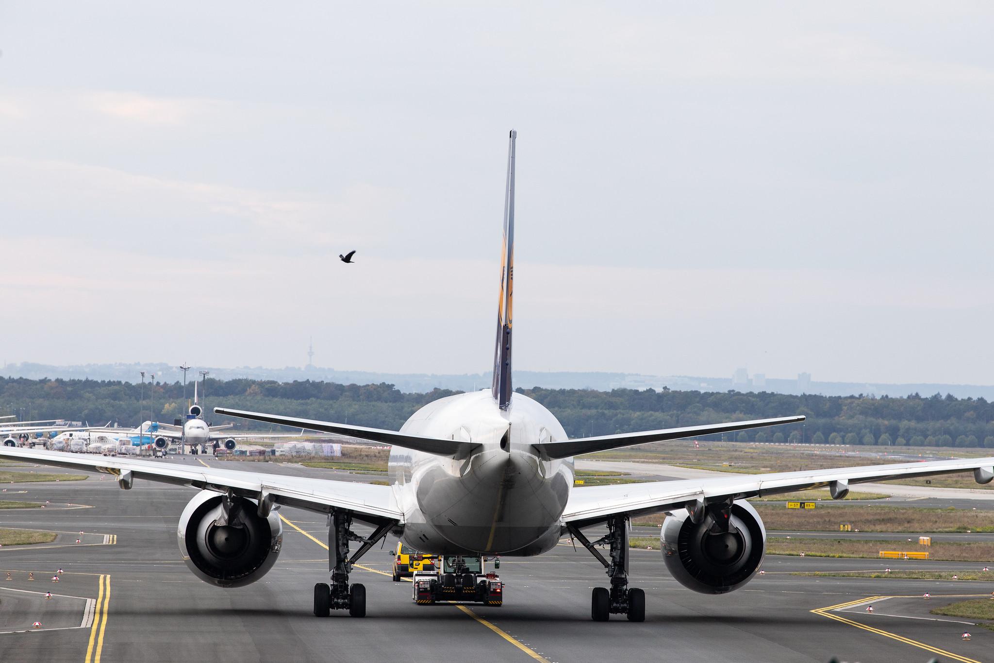 Frankfurt Airport: Lufthansa Cargo (/ GEC) |  Boeing 777-FBT B77L | D-ALFE | MSN 41678