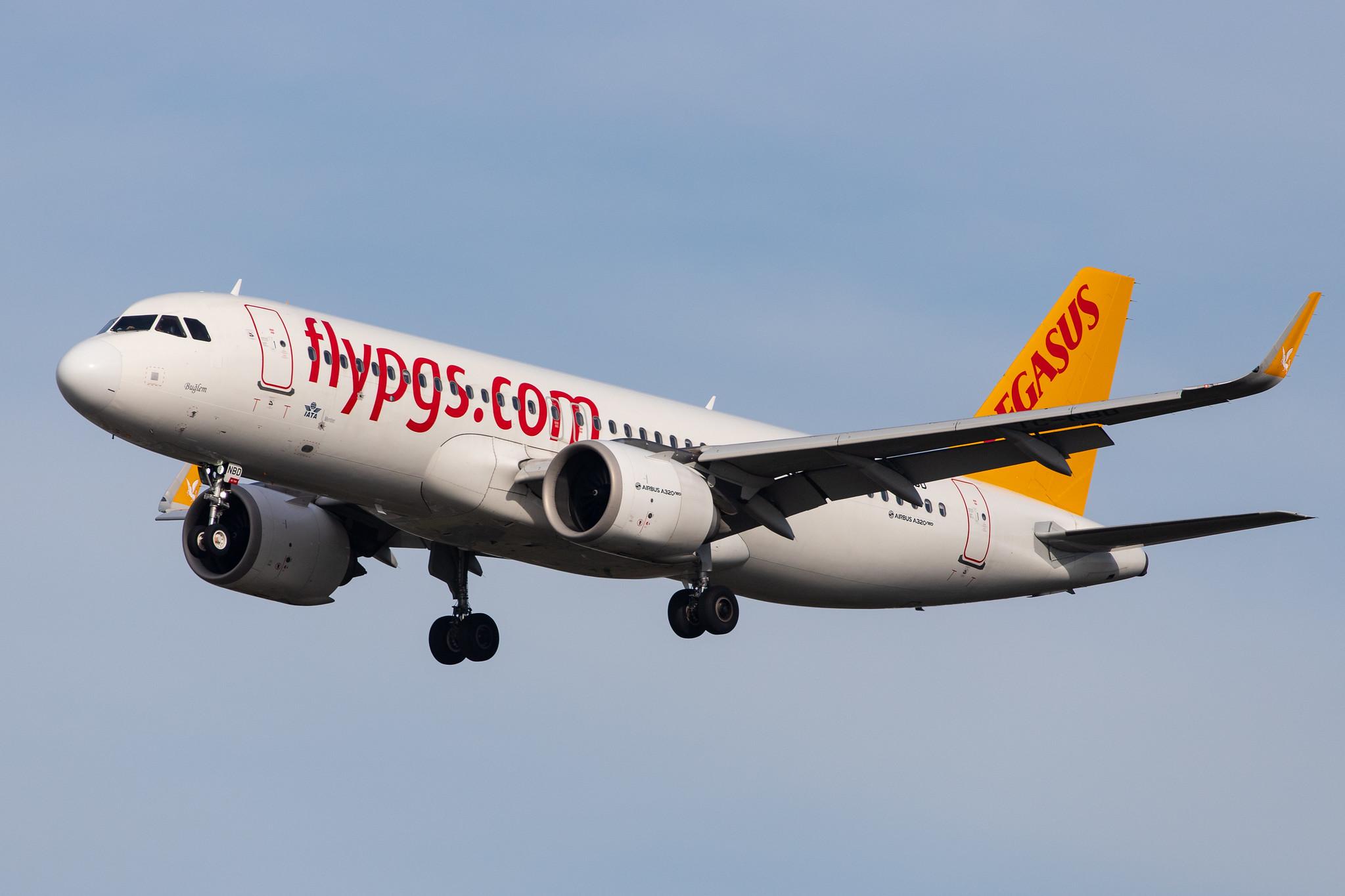 Frankfurt Airport: Pegasus Airlines (PC / PGT) |  Airbus A320-251N A20N | TC-NBD | MSN 7162