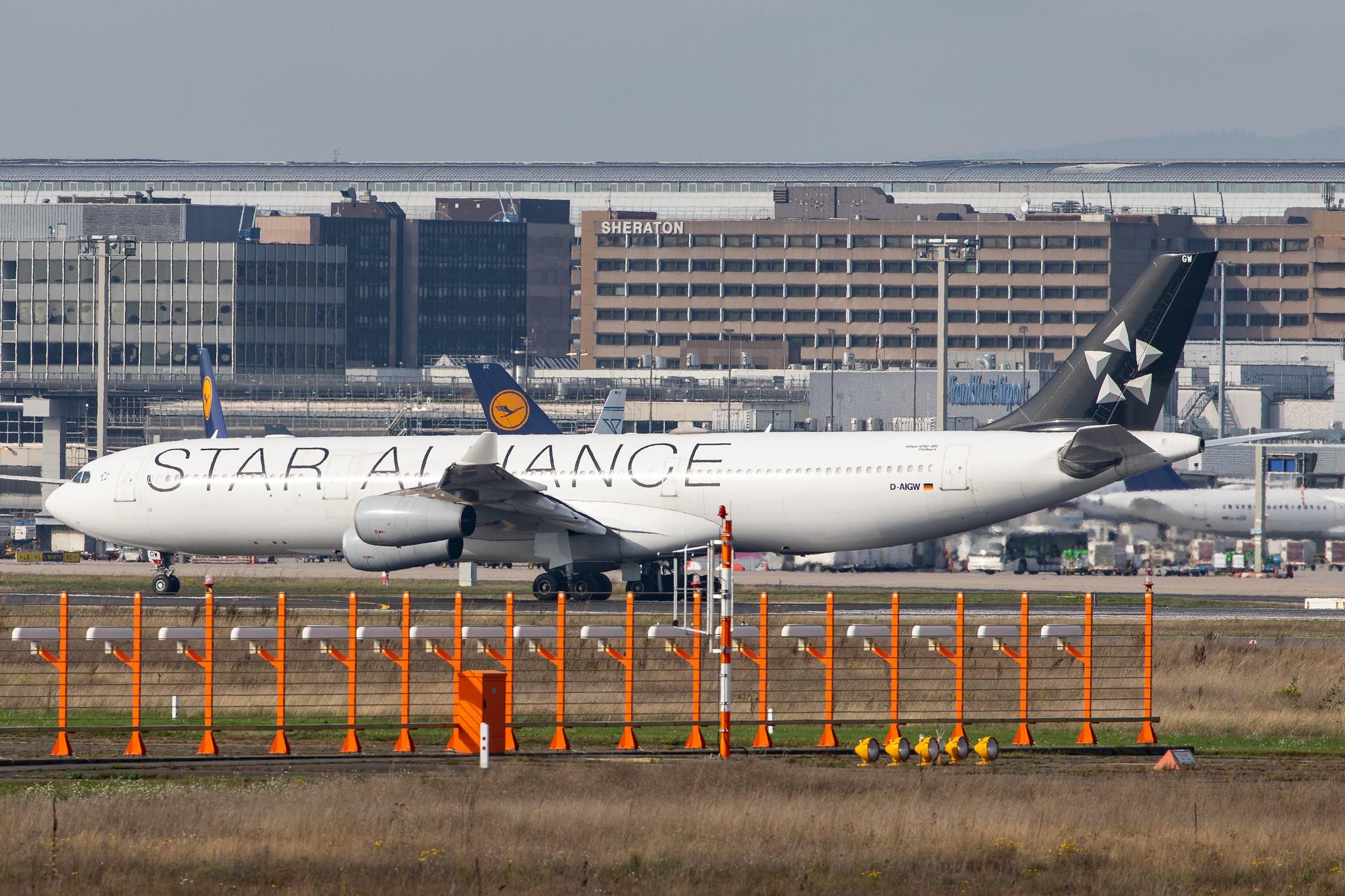 Frankfurt Airport: Lufthansa (LH / DLH) |  Livery: Star Alliance Livery | Operator: Lufthansa CityLine |  Airbus A340-313 A343 | D-AIGW | MSN 0327