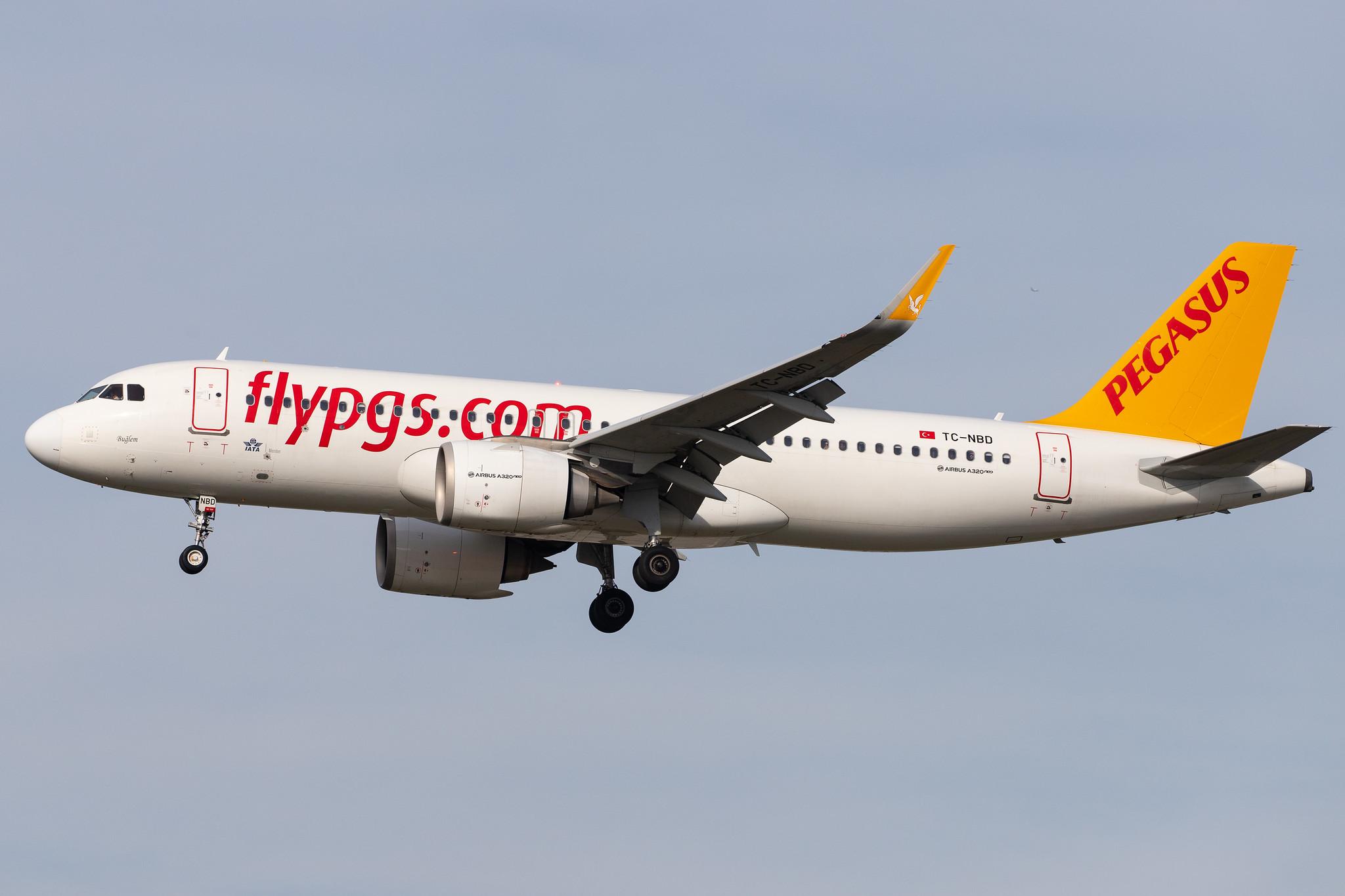 Frankfurt Airport: Pegasus Airlines (PC / PGT) |  Airbus A320-251N A20N | TC-NBD | MSN 7162