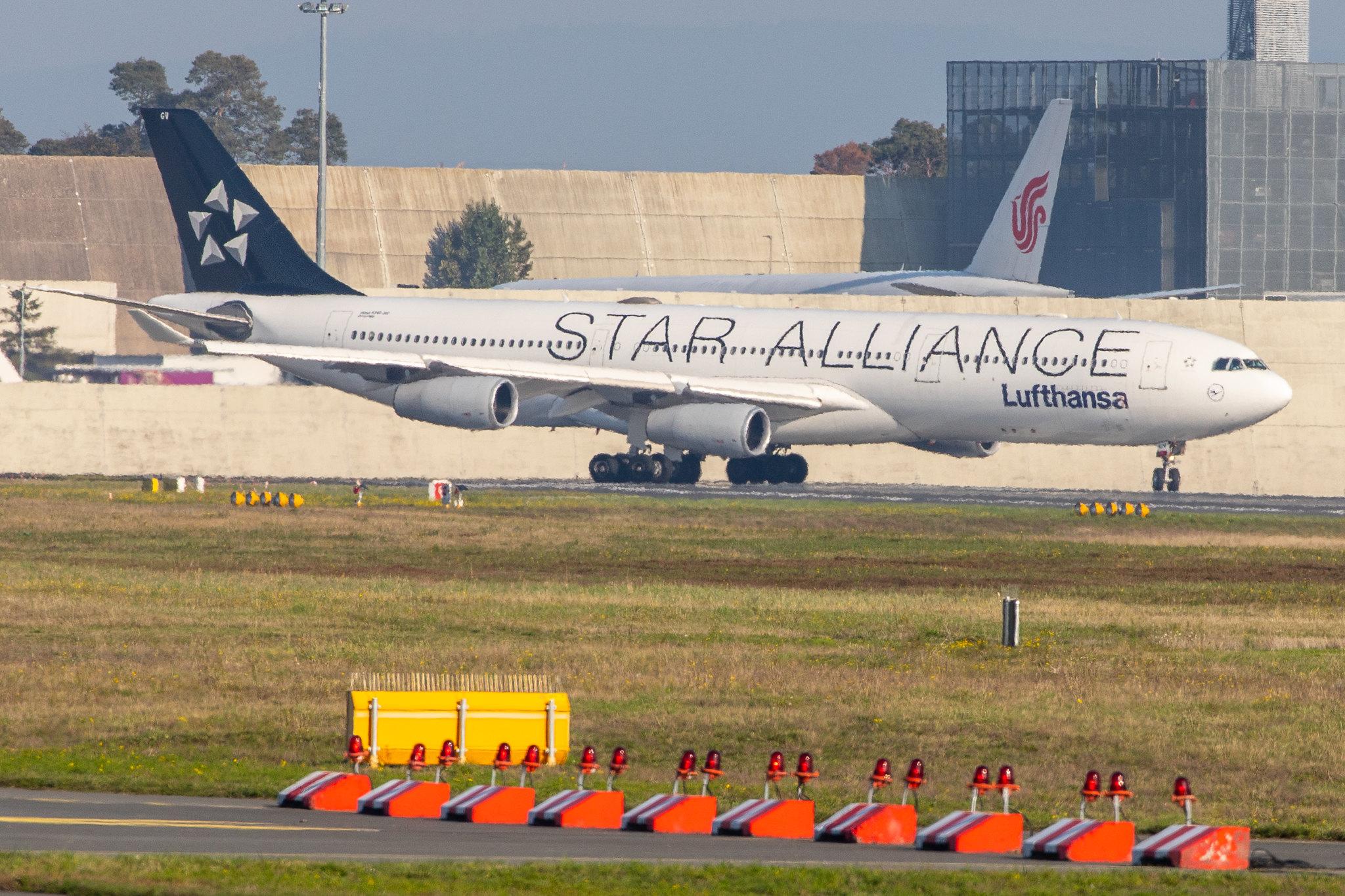 Frankfurt Airport: Lufthansa (LH / DLH) |  Livery: Star Alliance Livery |  Airbus A340-313 A343 | D-AIGV | MSN 0325