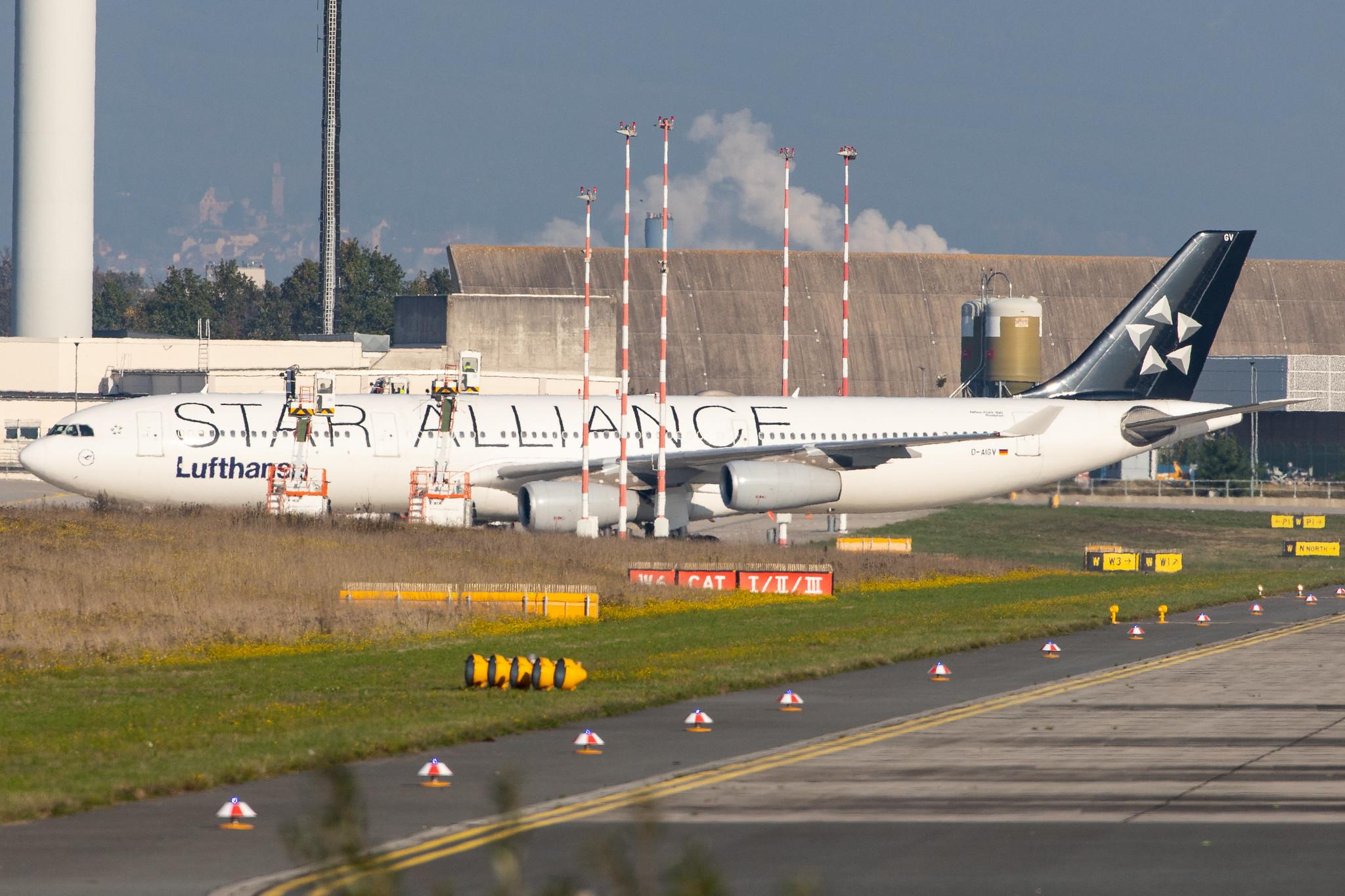 Frankfurt Airport: Lufthansa (LH / DLH) |  Livery: Star Alliance Livery |  Airbus A340-313 A343 | D-AIGV | MSN 0325