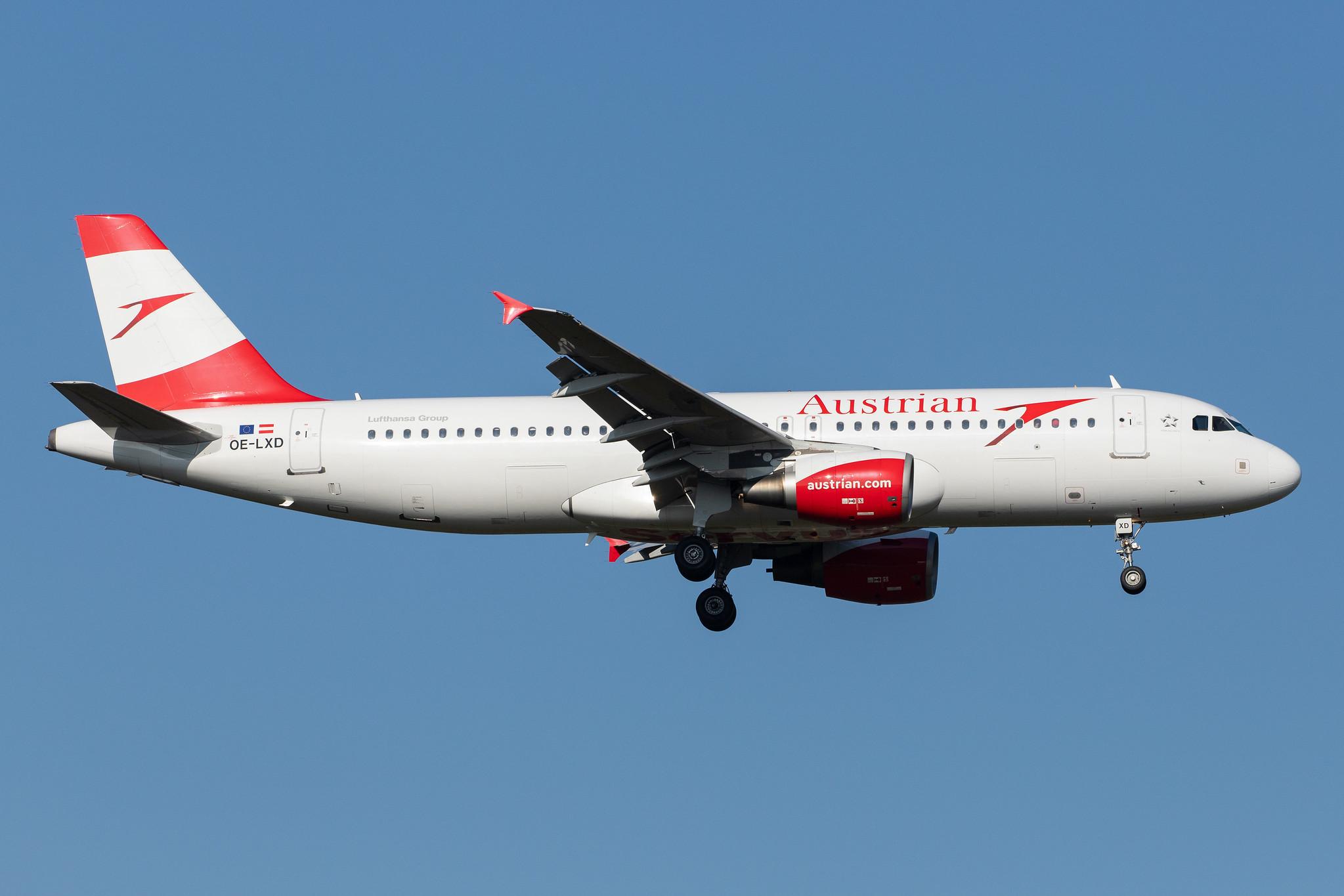 Frankfurt Airport: Austrian Airlines (OS / AUA) |  Airbus A320-216 A320 | OE-LXD | MSN 3515