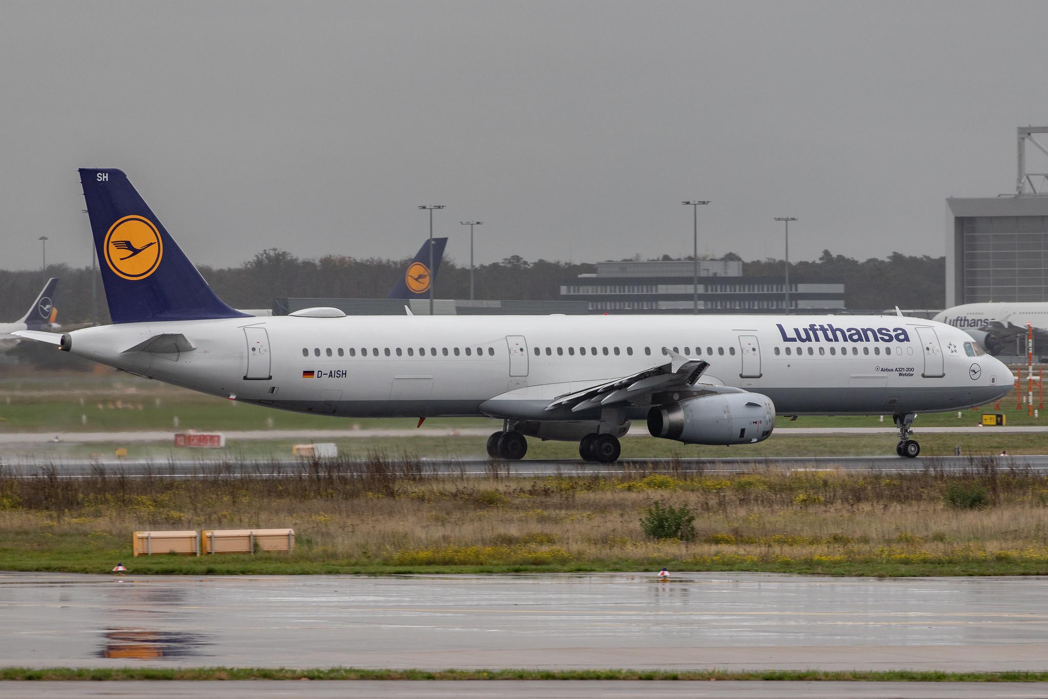 Frankfurt Airport: Lufthansa Cargo (/ GEC) |  McDonnell Douglas MD-11F MD11 | D-ALCK | MSN 48803