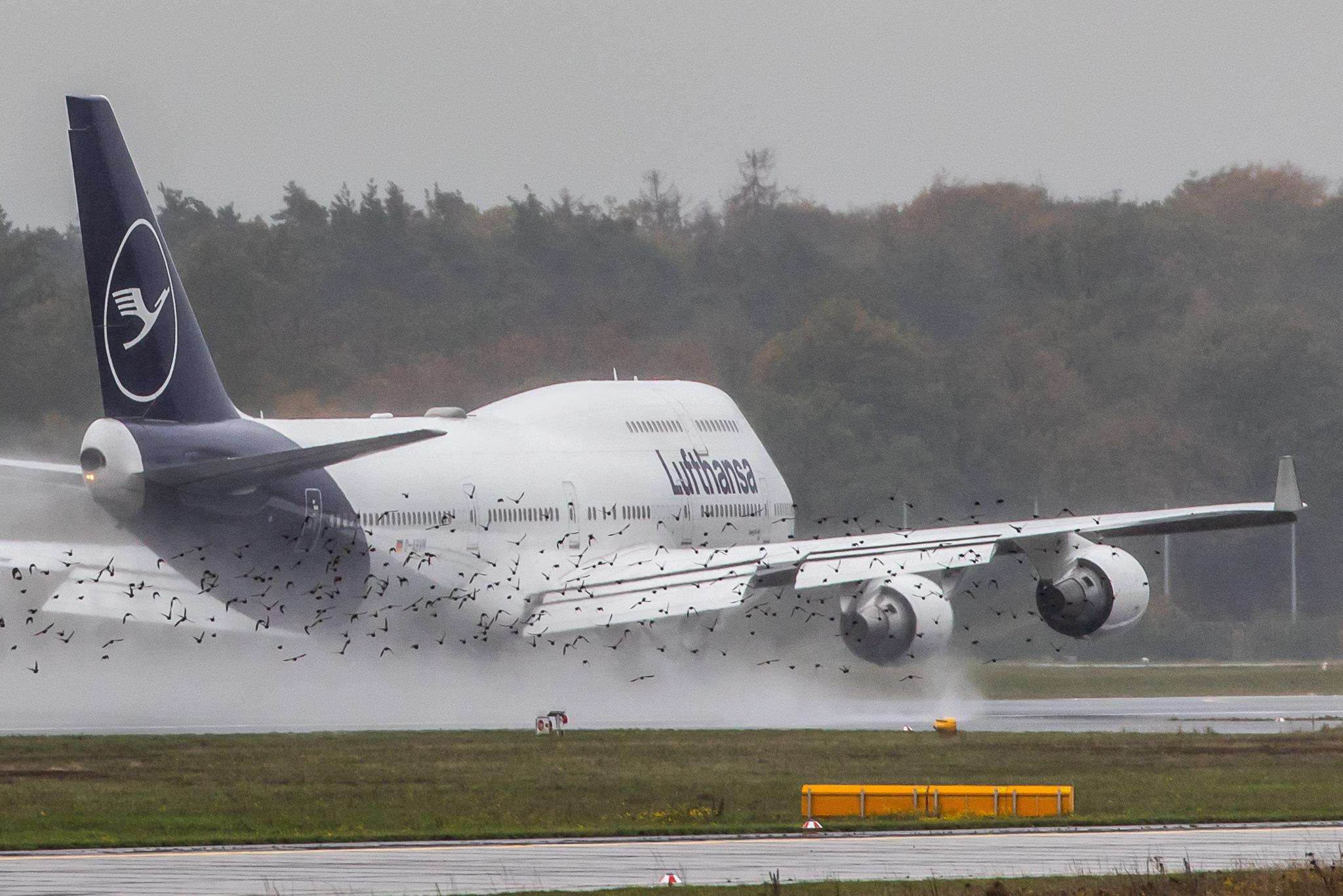 Frankfurt Airport: Lufthansa (LH / DLH) |  Boeing 747-430 B744 | D-ABVM | MSN 29101