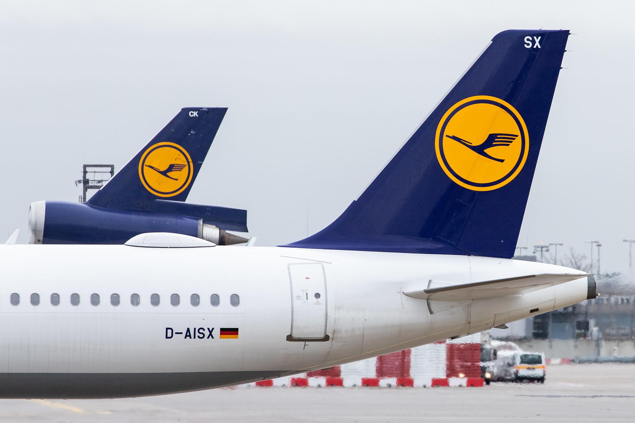 Frankfurt Airport: Lufthansa Cargo (/ GEC) |  McDonnell Douglas MD-11F MD11 | D-ALCH | MSN 48801