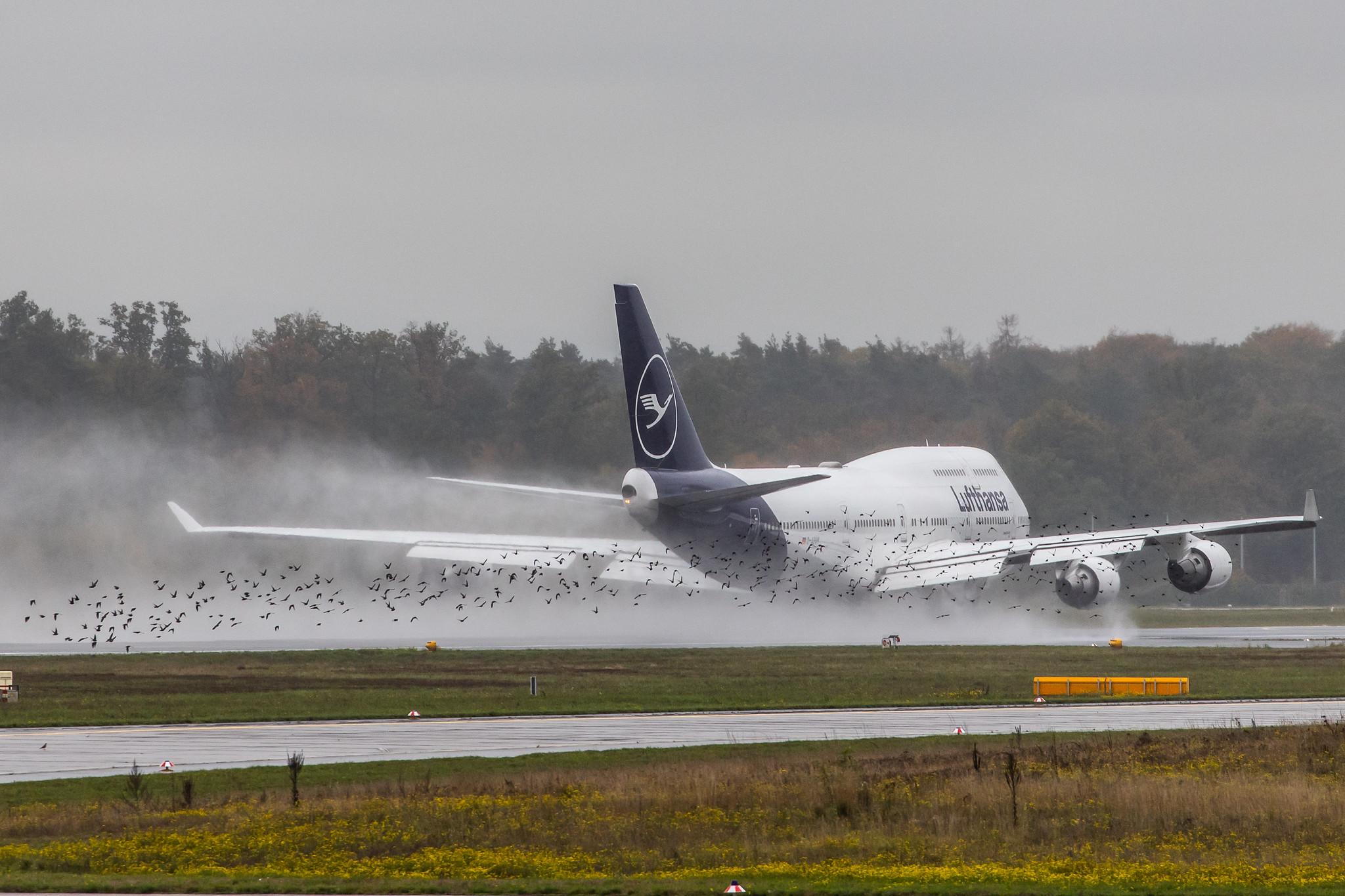 Frankfurt Airport: Lufthansa (LH / DLH) |  Boeing 747-430 B744 | D-ABVM | MSN 29101