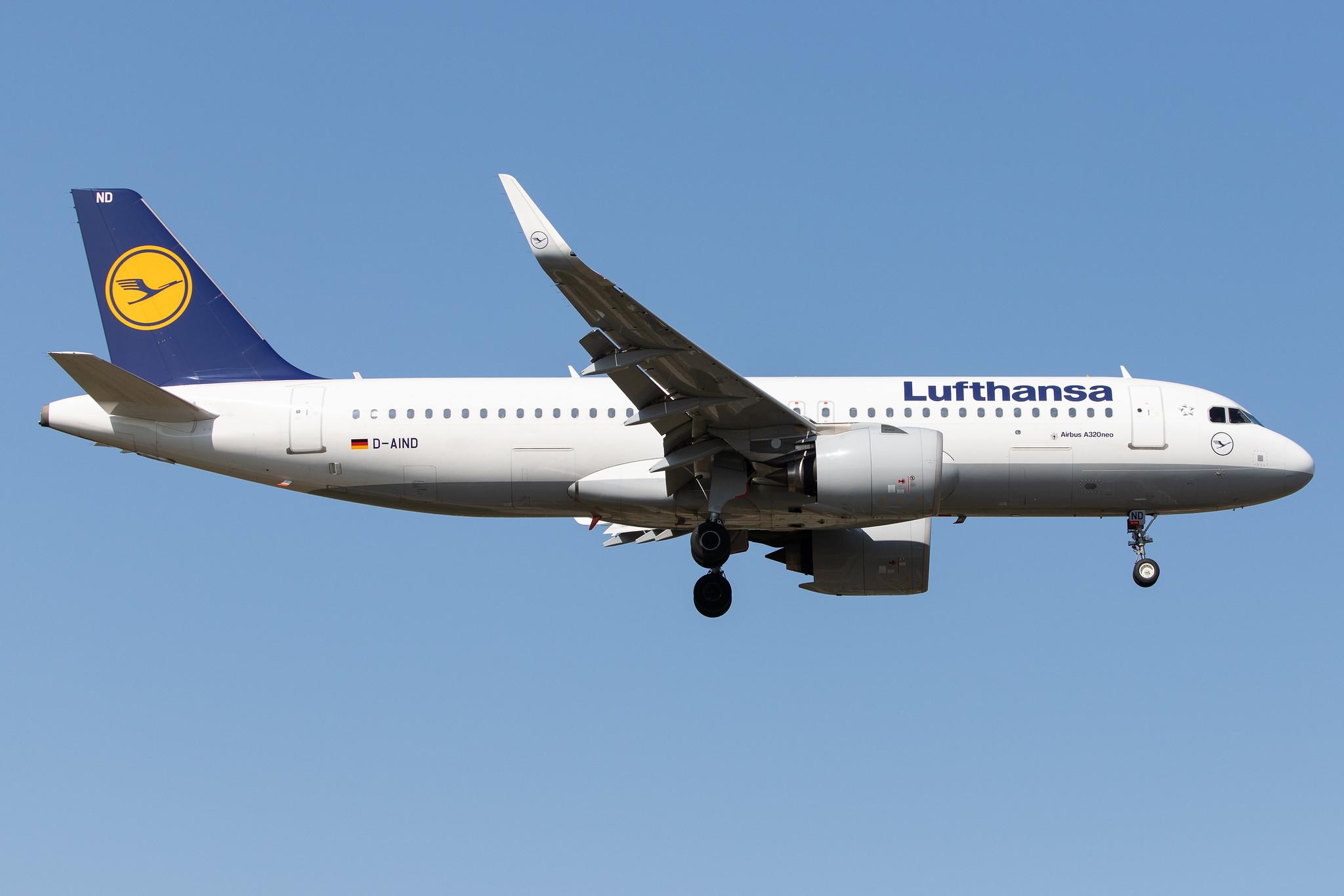 Frankfurt Airport: Lufthansa (LH / DLH) |  Airbus A320-271N A20N | D-AIND | MSN 7078