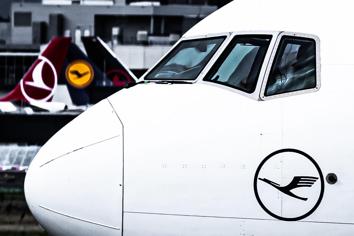 Frankfurt Airport: Lufthansa Cargo (/ GEC) |  Boeing 777-FBT B77L | D-ALFE | MSN 41678