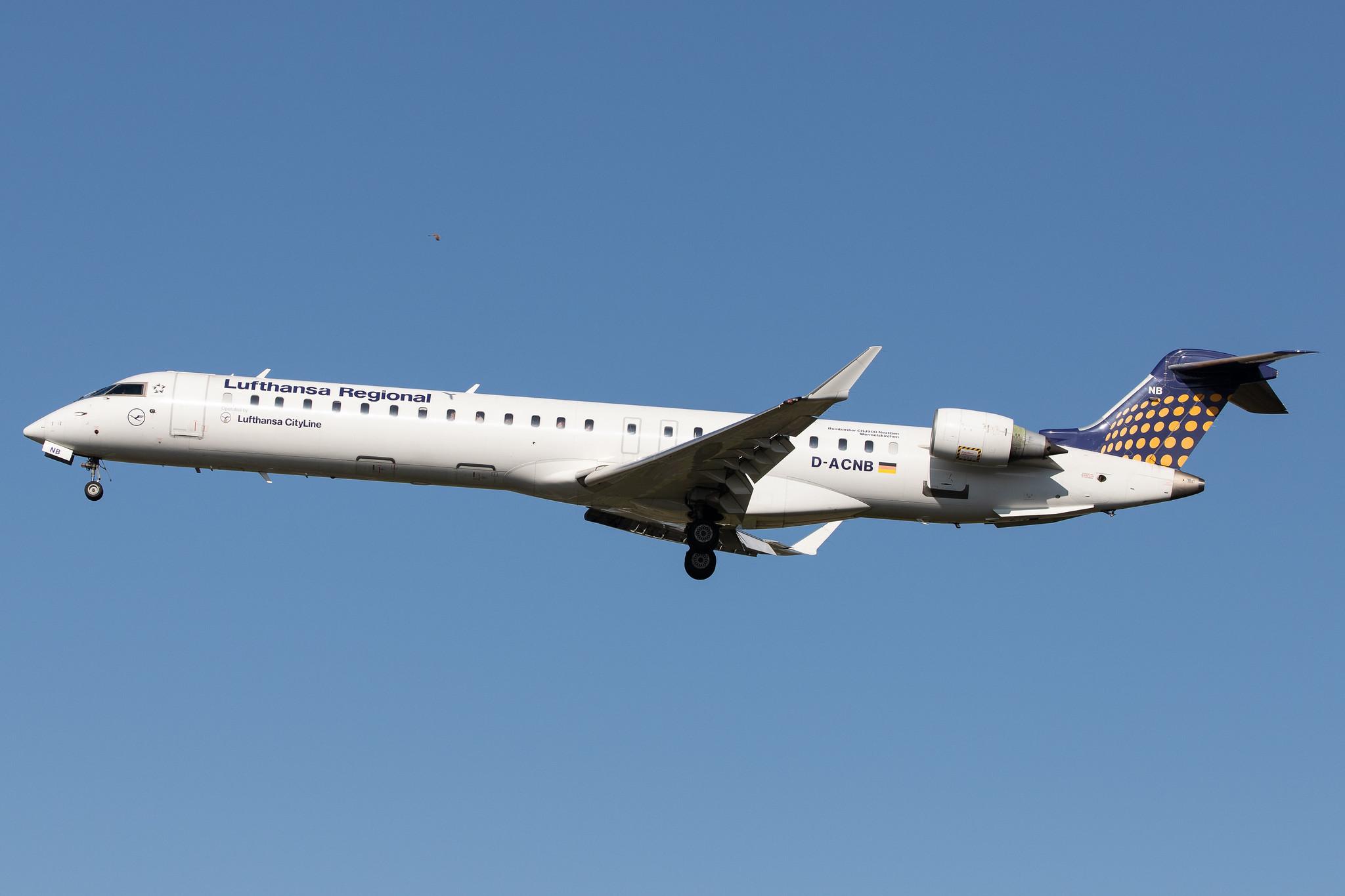 Frankfurt Airport: Lufthansa (LH / DLH) | Operator: Lufthansa CityLine |  Bombardier CRJ-900LR CRJ9 | D-ACNB | MSN 15230