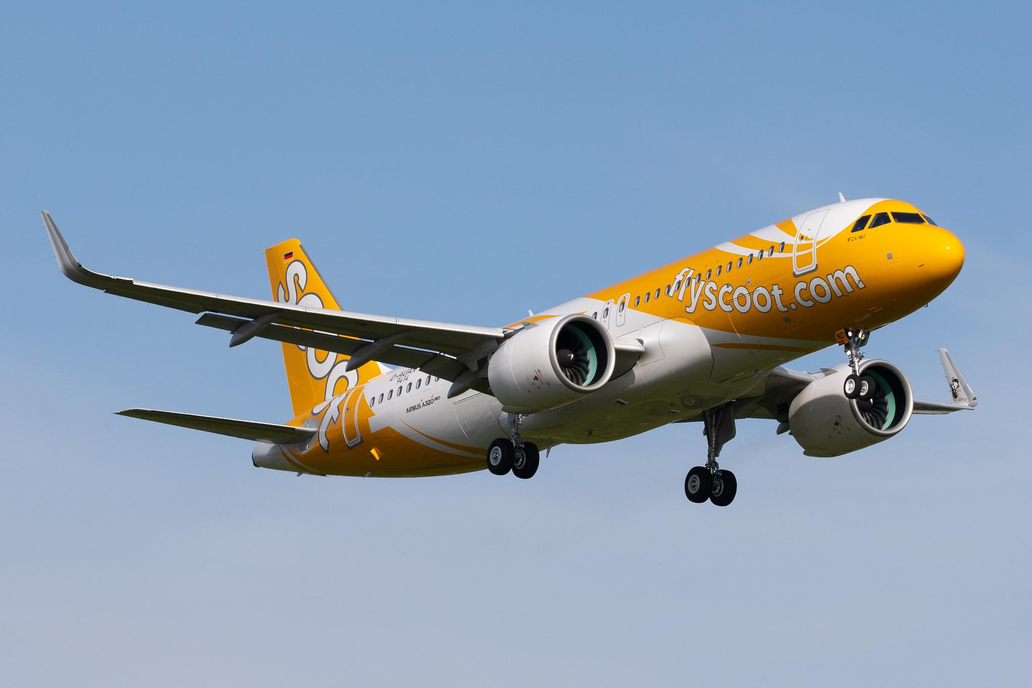 Hamburg Airport: Scoot (TR / TGW) |  Airbus A320-271N A20N | D-AUAX | MSN 9414