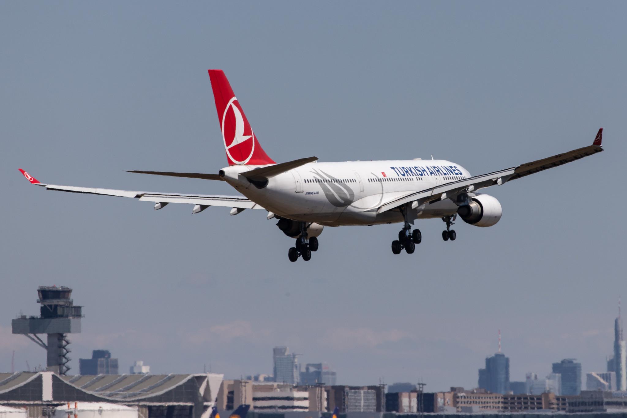 Frankfurt Airport: Turkish Airlines (TK / THY) |  Airbus A330-203 A332 | TC-JNB | MSN 0704