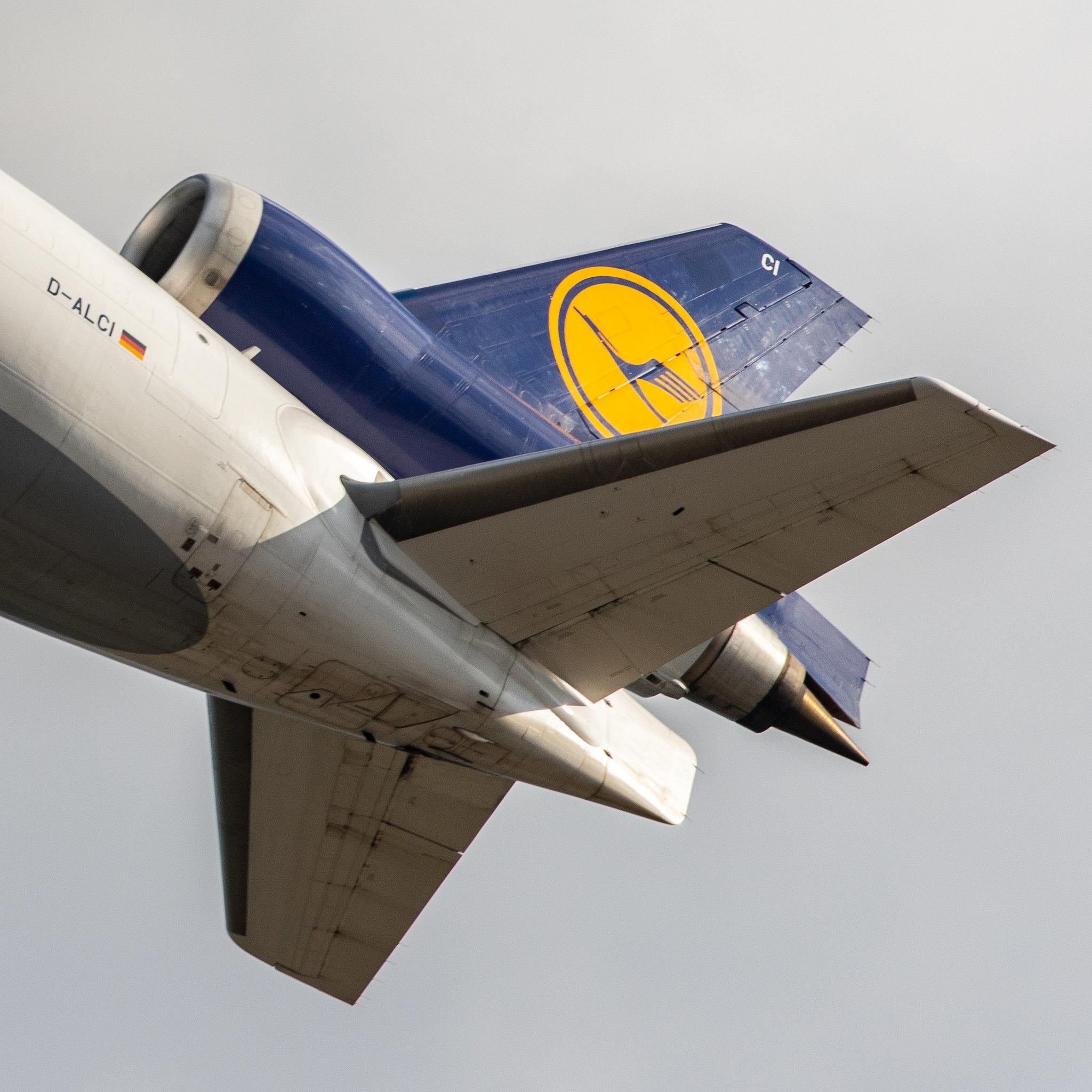Frankfurt Airport: Lufthansa Cargo (/ GEC) |  McDonnell Douglas MD-11F MD11 | D-ALCI | MSN 48800