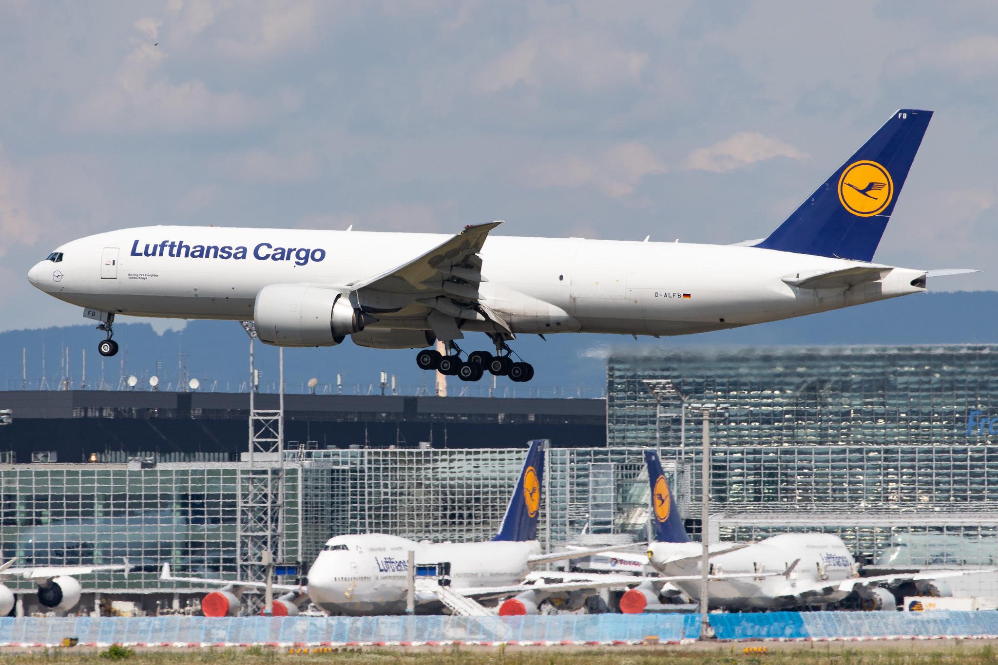 Frankfurt Airport: Lufthansa Cargo (/ GEC) |  Boeing 777-FBT B77L | D-ALFB | MSN 41675