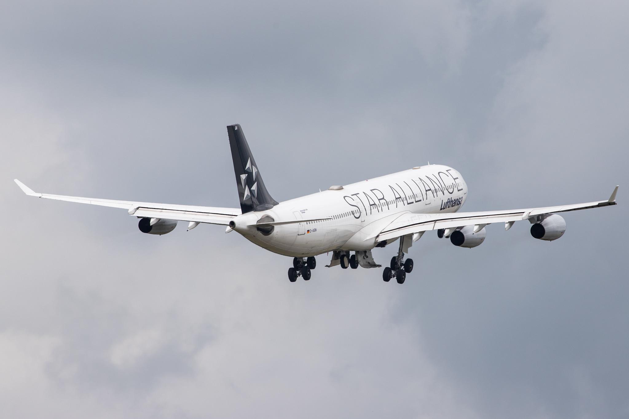Hamburg Airport: Lufthansa (LH / DLH) |  Livery: Star Alliance Livery |  Airbus A340-313 A343 | D-AIGN | MSN 0213