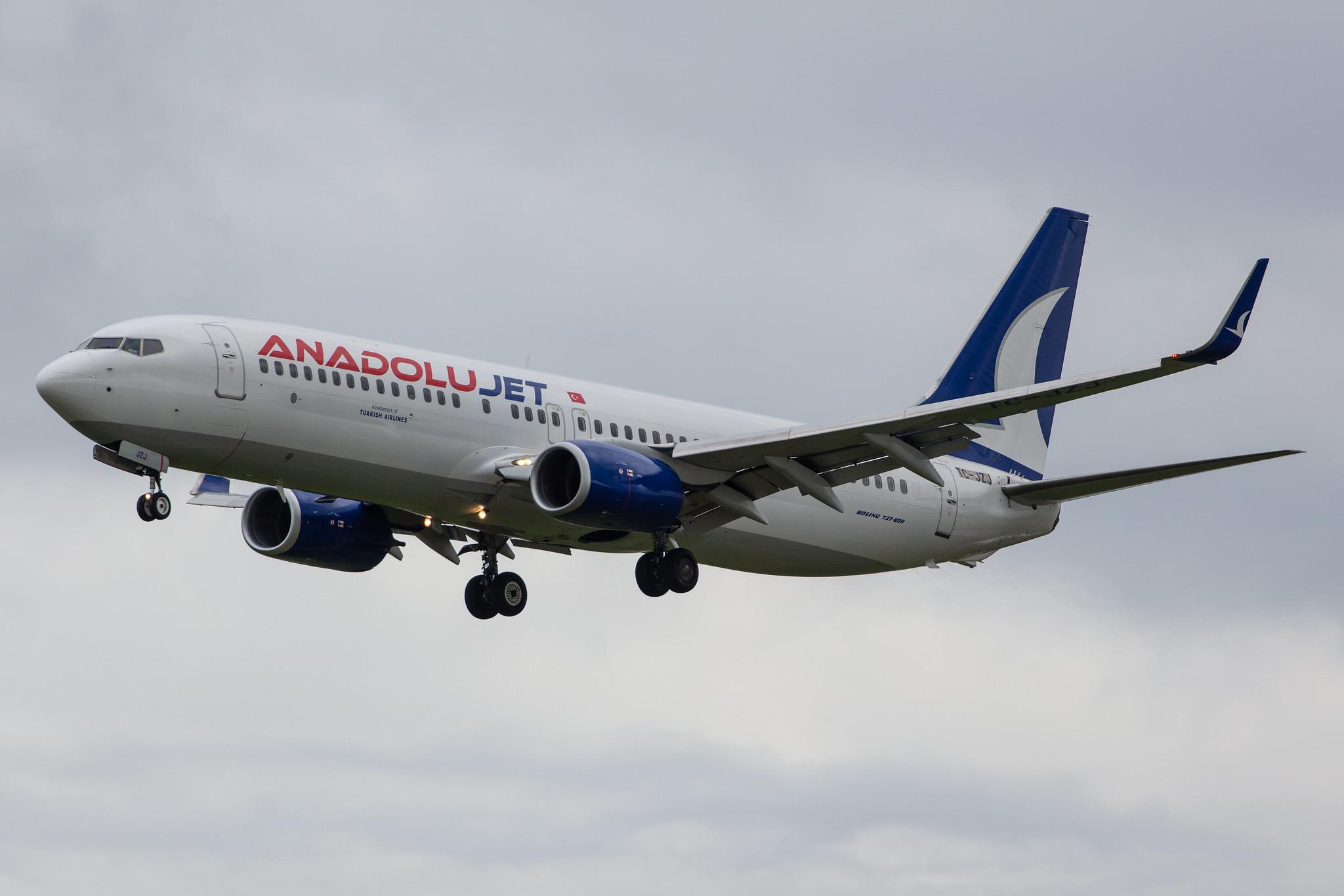 Amsterdam Airport Schiphol: AnadoluJet (TK / THY) | Operator: Turkish Airlines |  Boeing 737-8AS B738 | TC-JZJ | MSN 34995