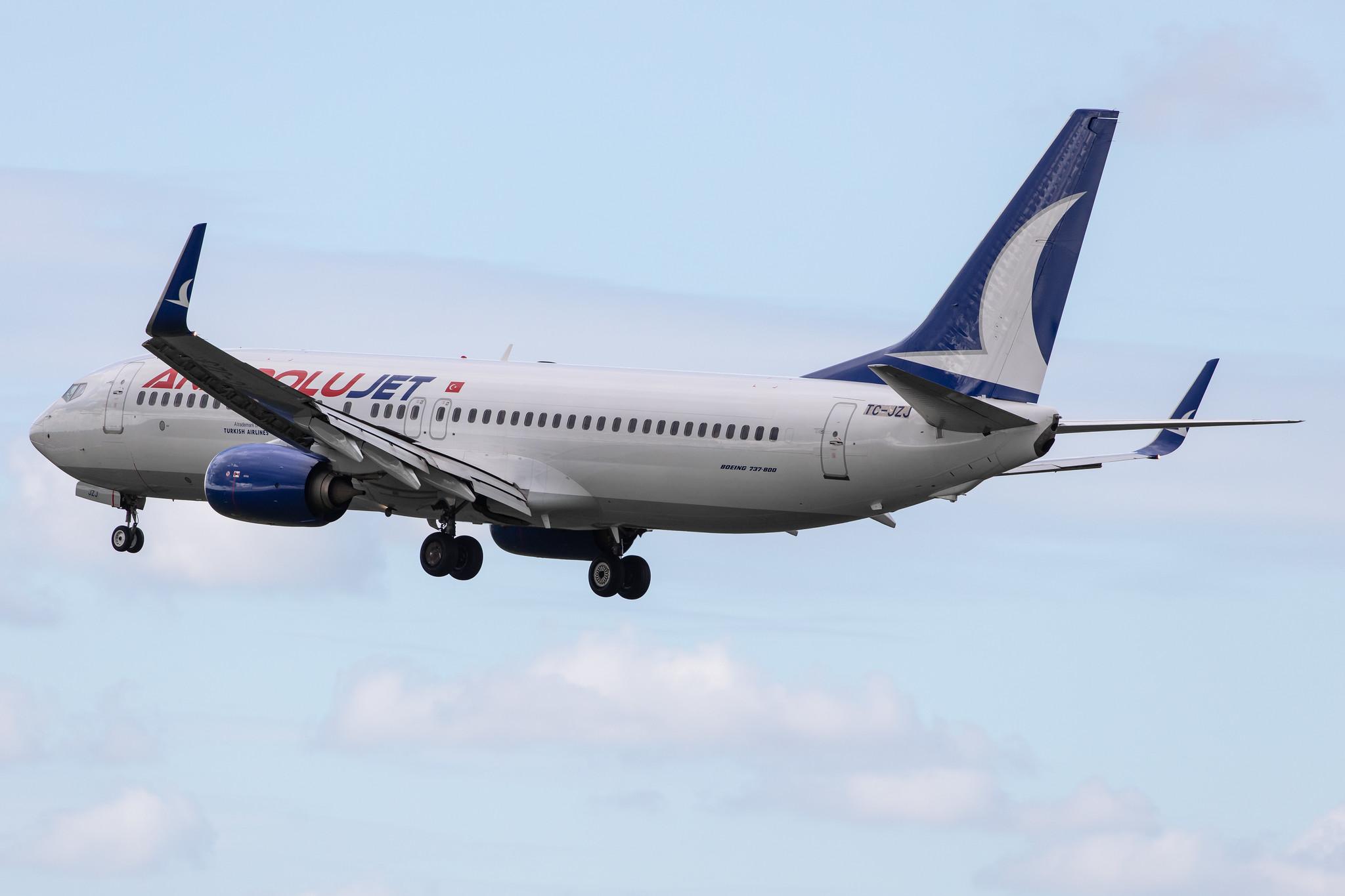 Amsterdam Airport Schiphol: AnadoluJet (TK / THY) | Operator: Turkish Airlines |  Boeing 737-8AS B738 | TC-JZJ | MSN 34995