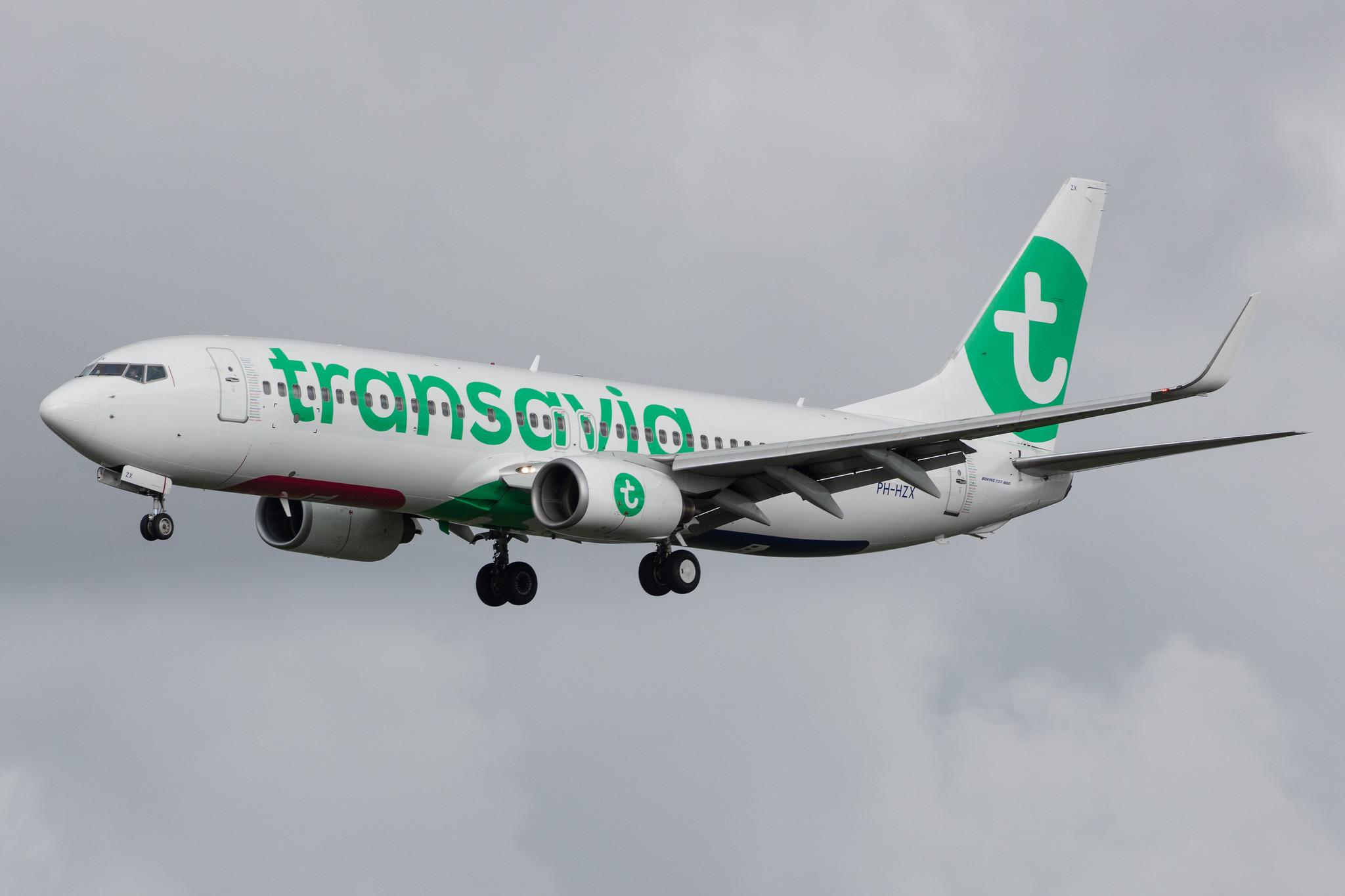Amsterdam Airport Schiphol: Transavia (HV / TRA) |  Boeing 737-8K2 B738 | PH-HZX | MSN 28248