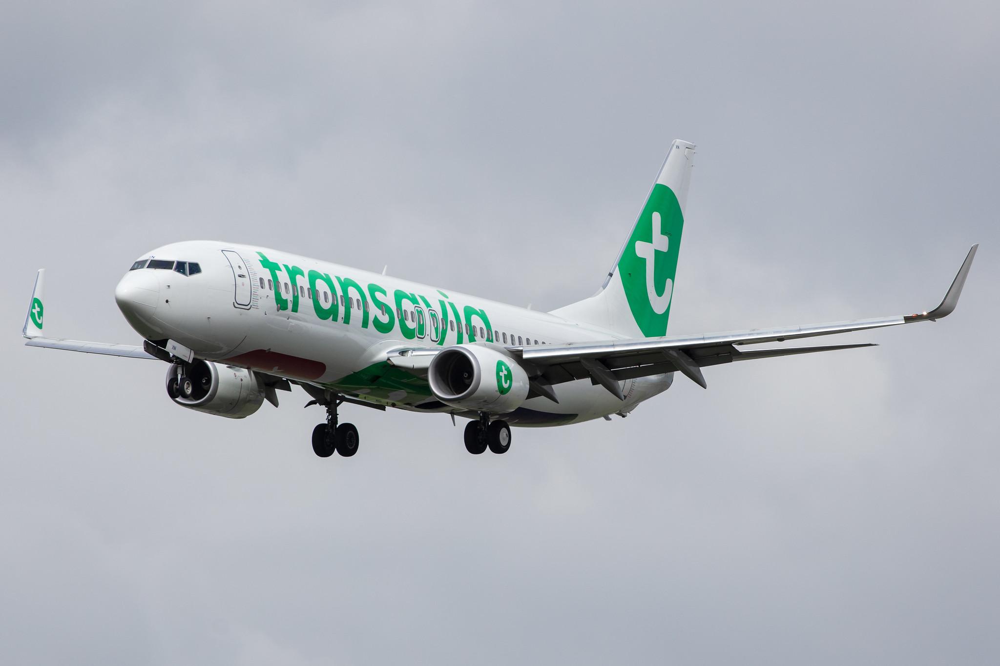 Amsterdam Airport Schiphol: Transavia (HV / TRA) |  Boeing 737-8K2 B738 | PH-HXN | MSN 63623