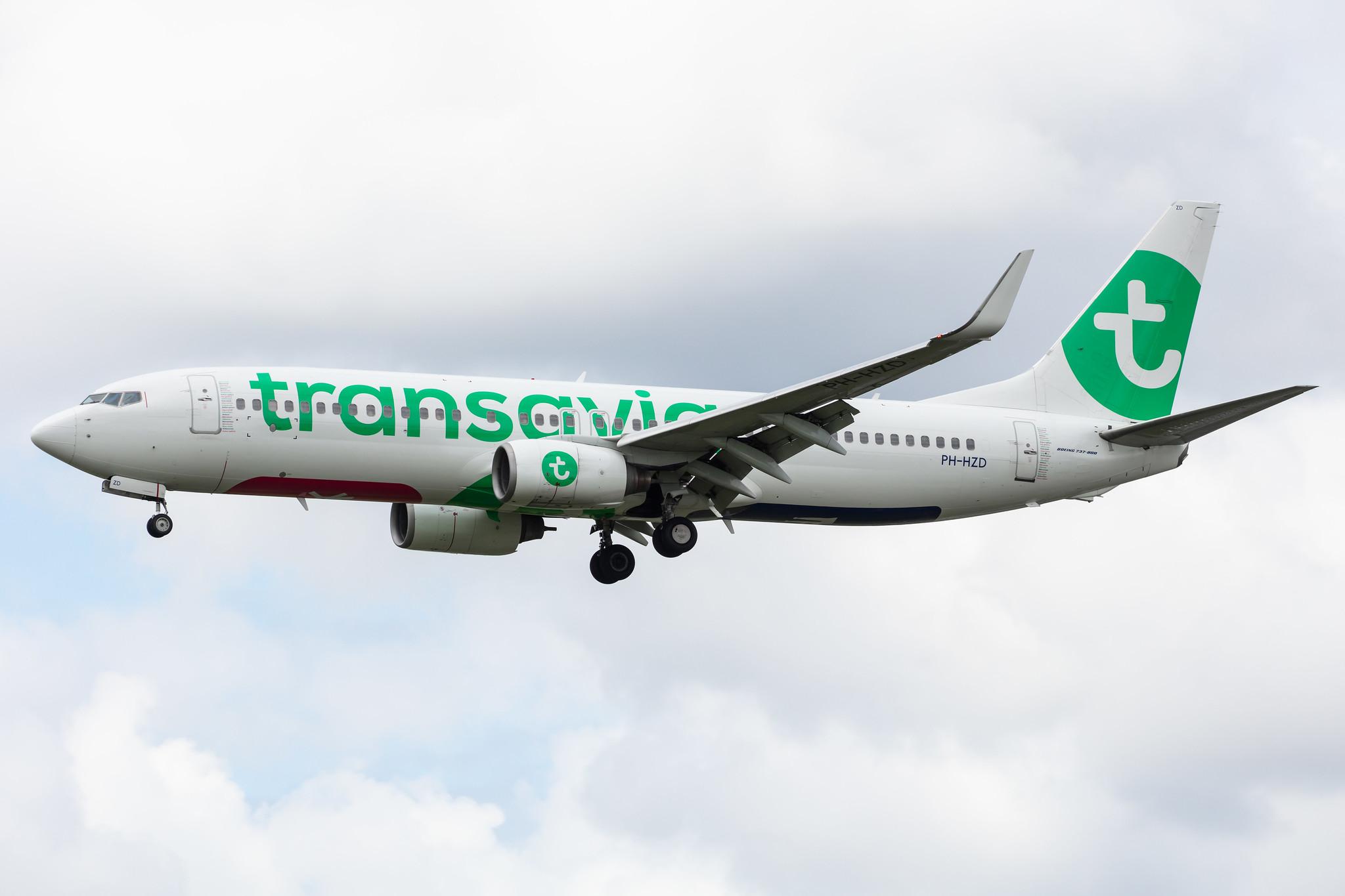 Amsterdam Airport Schiphol: Transavia (HV / TRA) |  Boeing 737-8K2 B738 | PH-HZD | MSN 28376