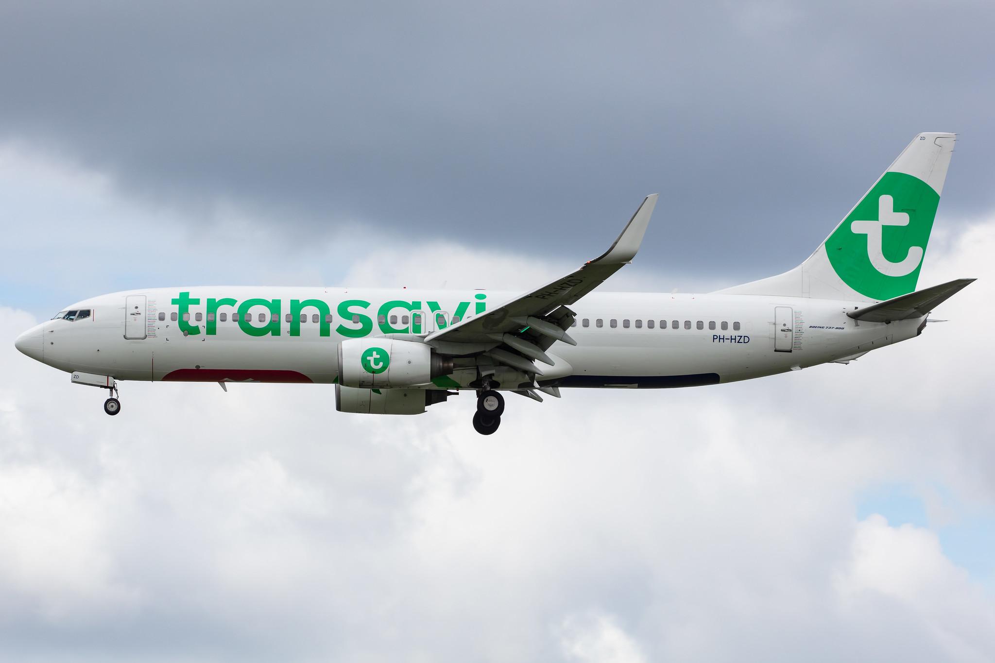 Amsterdam Airport Schiphol: Transavia (HV / TRA) |  Boeing 737-8K2 B738 | PH-HZD | MSN 28376