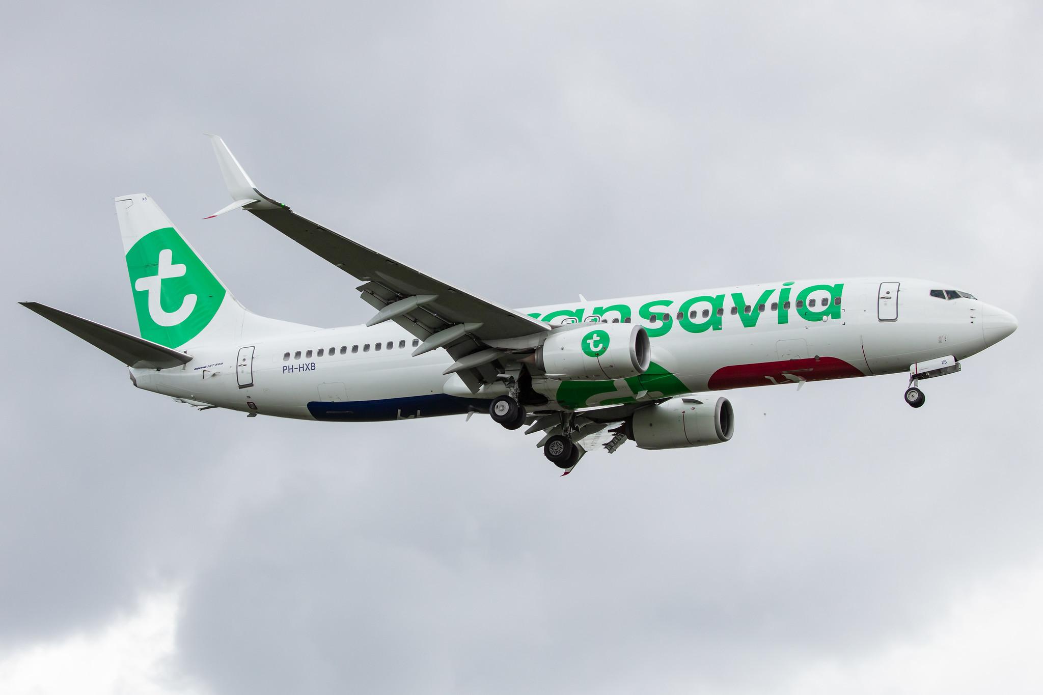 Amsterdam Airport Schiphol: Transavia (HV / TRA) |  Boeing 737-8K2 B738 | PH-HXB | MSN 41340