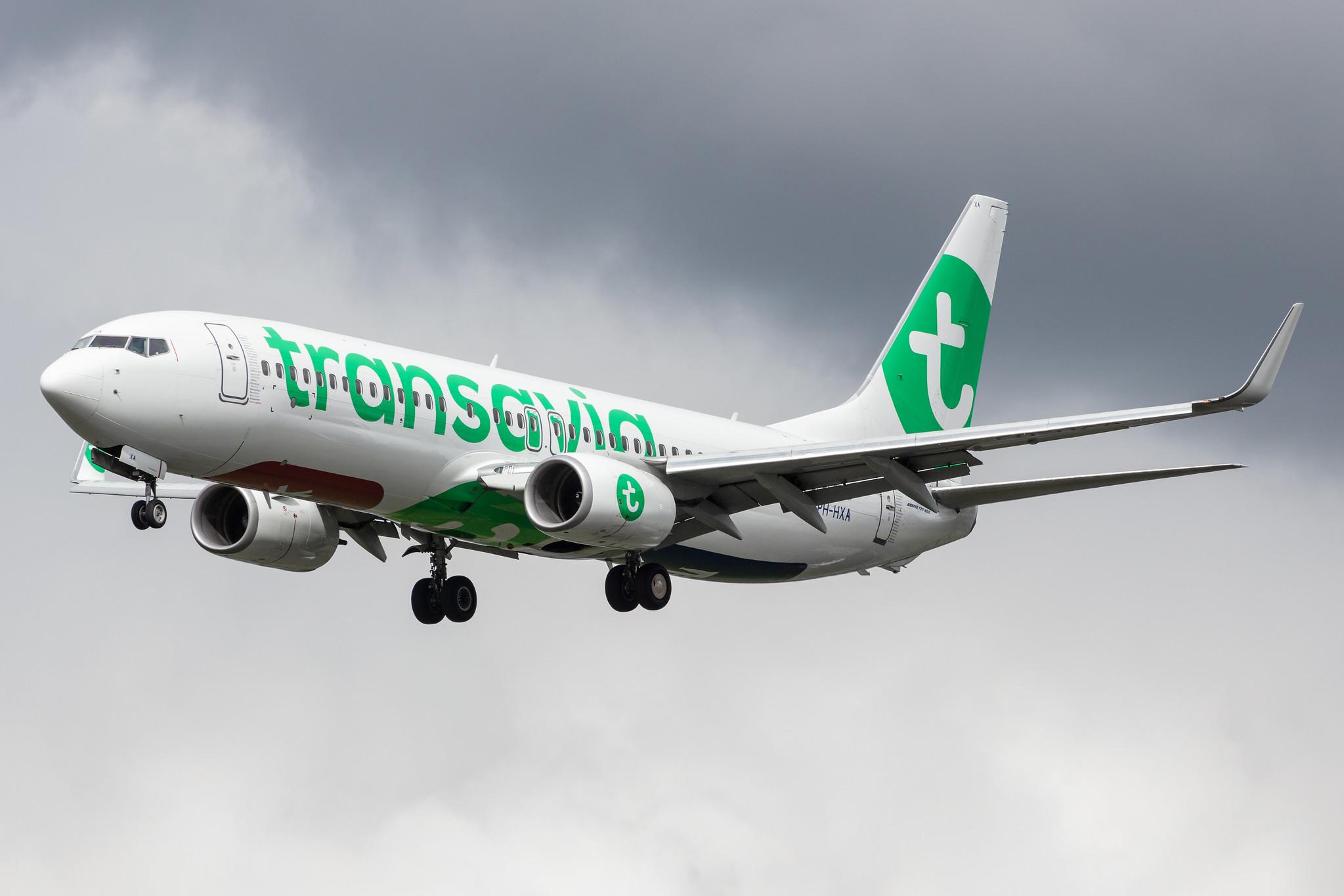 Amsterdam Airport Schiphol: Transavia (HV / TRA) |  Boeing 737-8K2 B738 | PH-HXA | MSN 62149