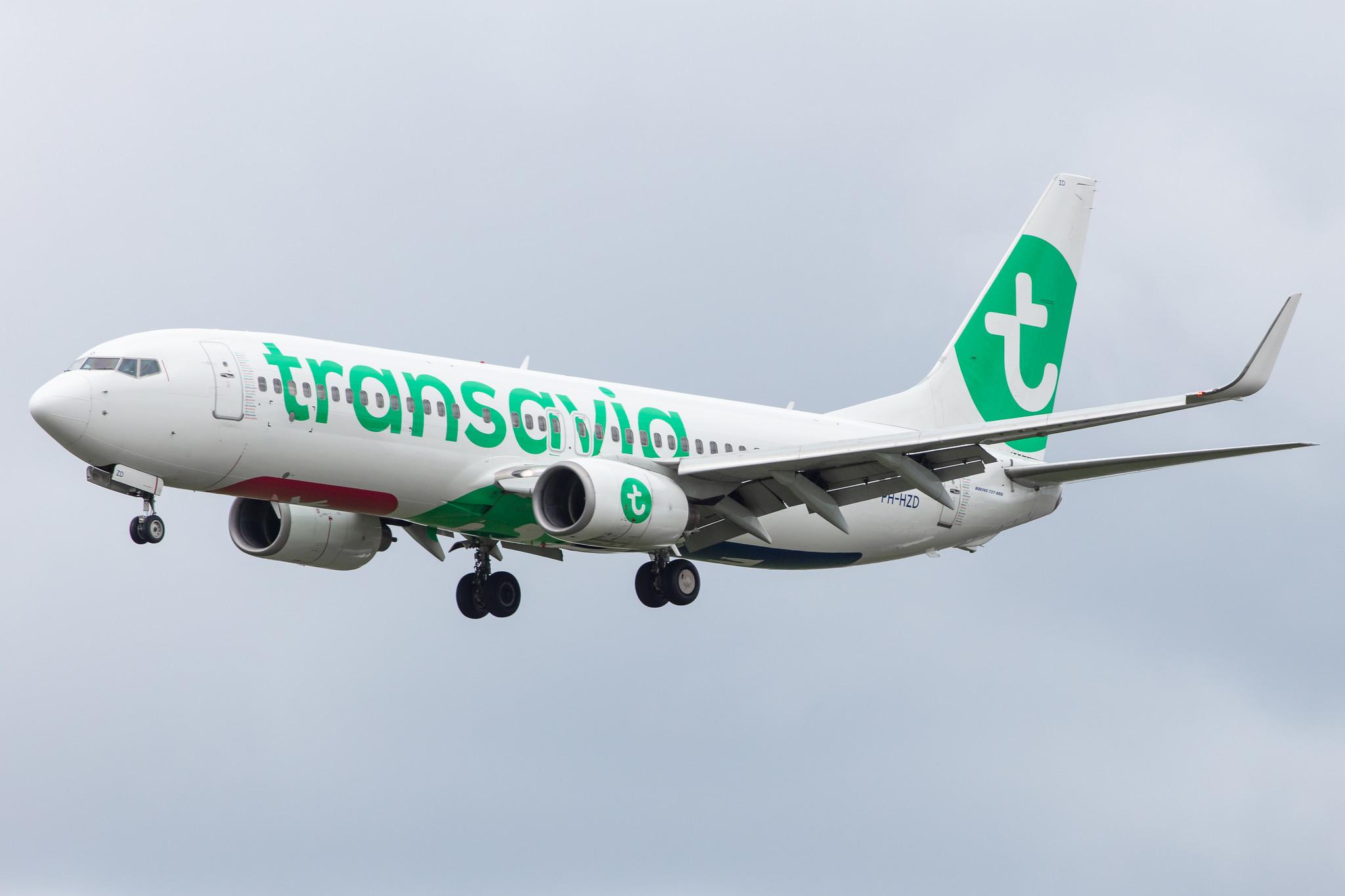Amsterdam Airport Schiphol: Transavia (HV / TRA) |  Boeing 737-8K2 B738 | PH-HZD | MSN 28376