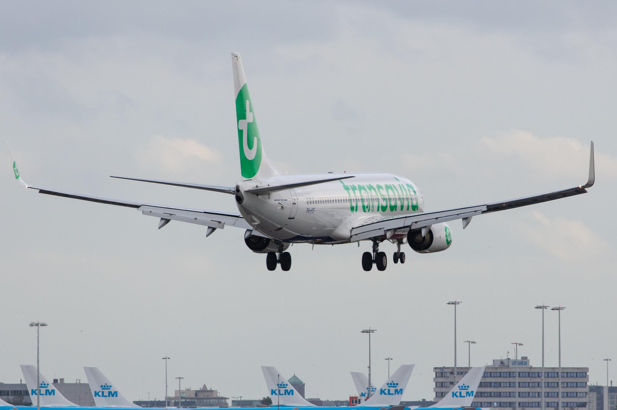 Amsterdam Airport Schiphol: Transavia (HV / TRA) |  Boeing 737-8K2 B738 | PH-HSF | MSN 39261