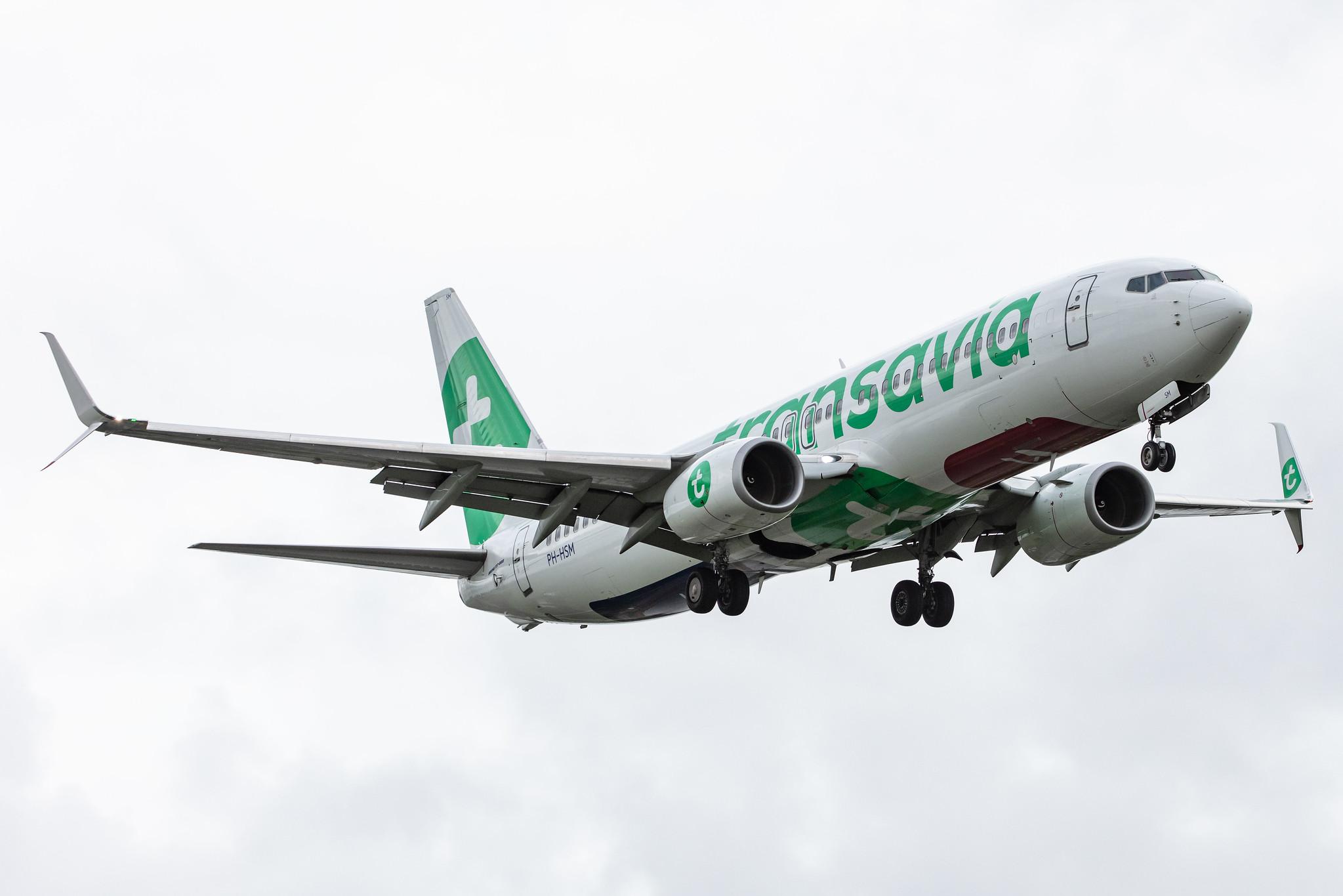Amsterdam Airport Schiphol: Transavia (HV / TRA) |  Boeing 737-8K2 B738 | PH-HSM | MSN 42067