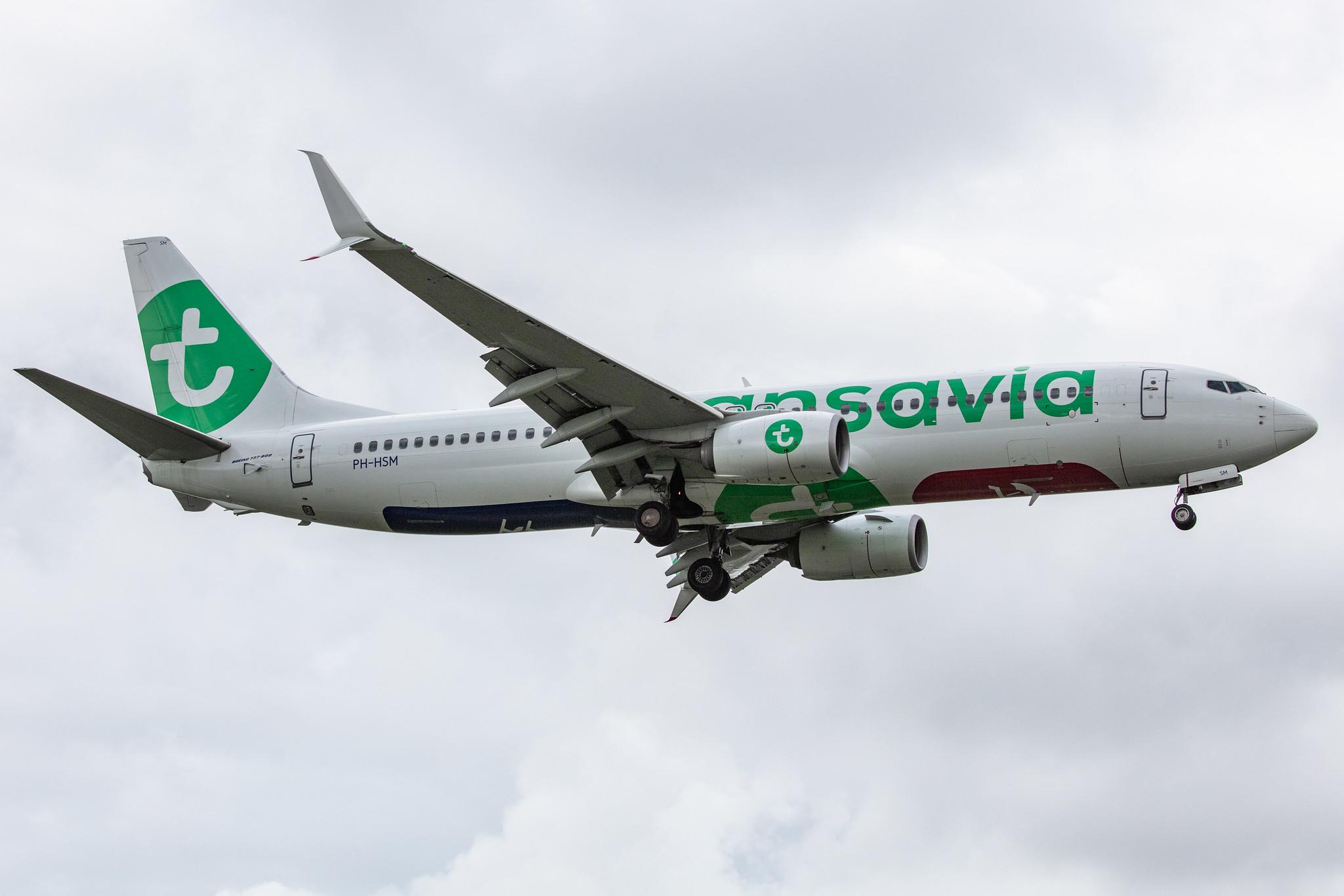 Amsterdam Airport Schiphol: Transavia (HV / TRA) |  Boeing 737-8K2 B738 | PH-HSM | MSN 42067
