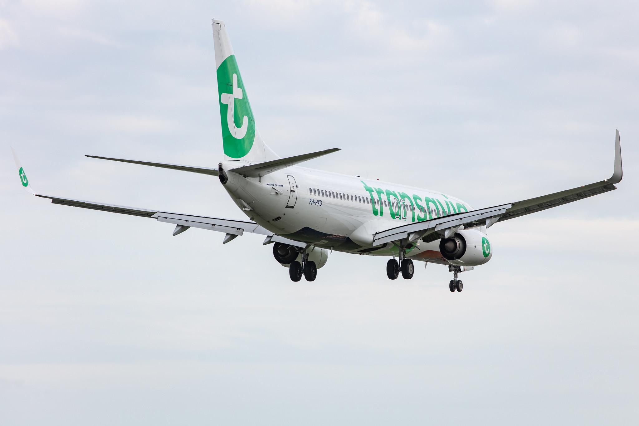 Amsterdam Airport Schiphol: Transavia (HV / TRA) |  Boeing 737-8K2 B738 | PH-HXD | MSN 61791