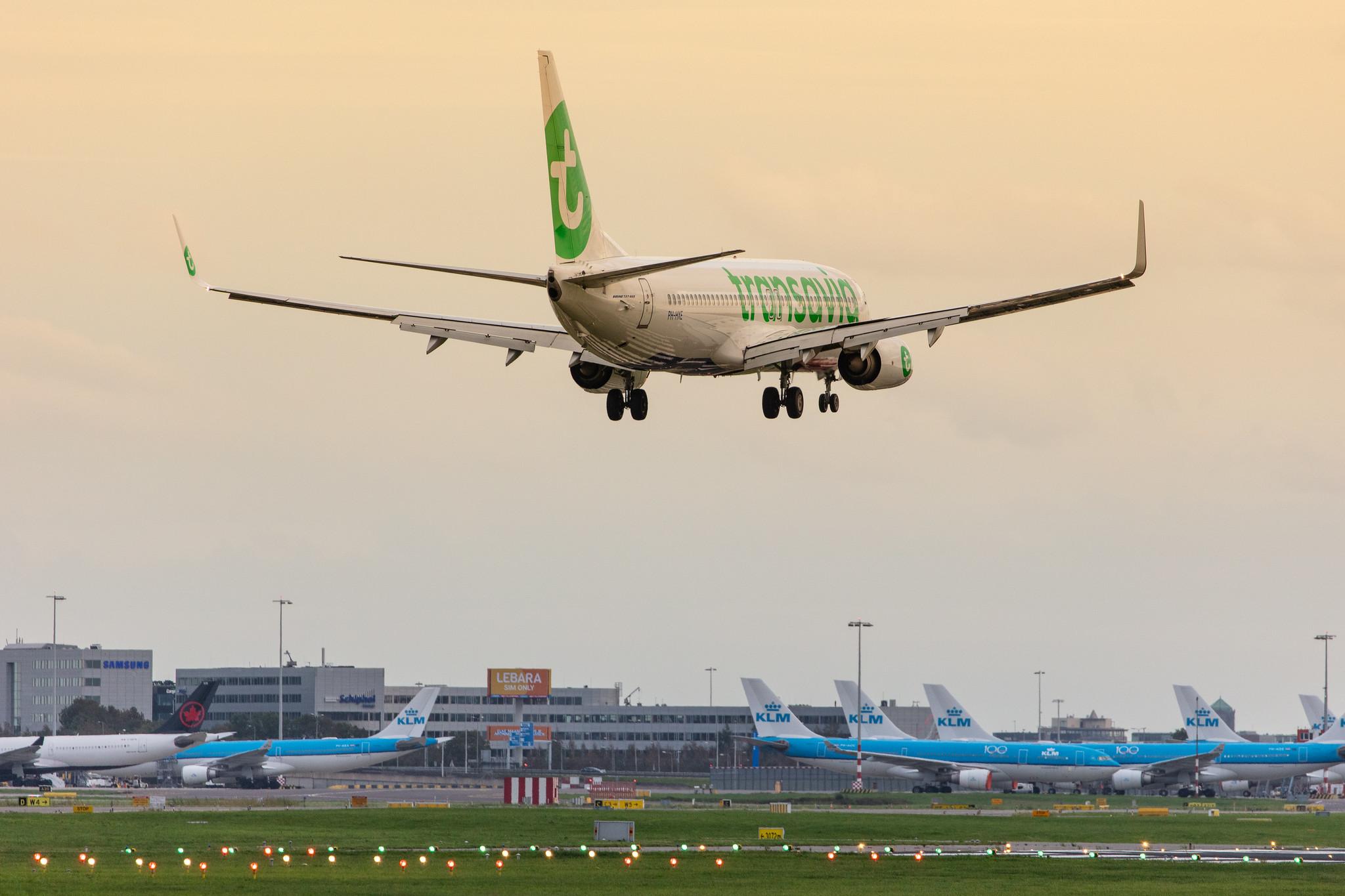 Amsterdam Airport Schiphol: Transavia (HV / TRA) |  Boeing 737-8K2 B738 | PH-HXE | MSN 61790