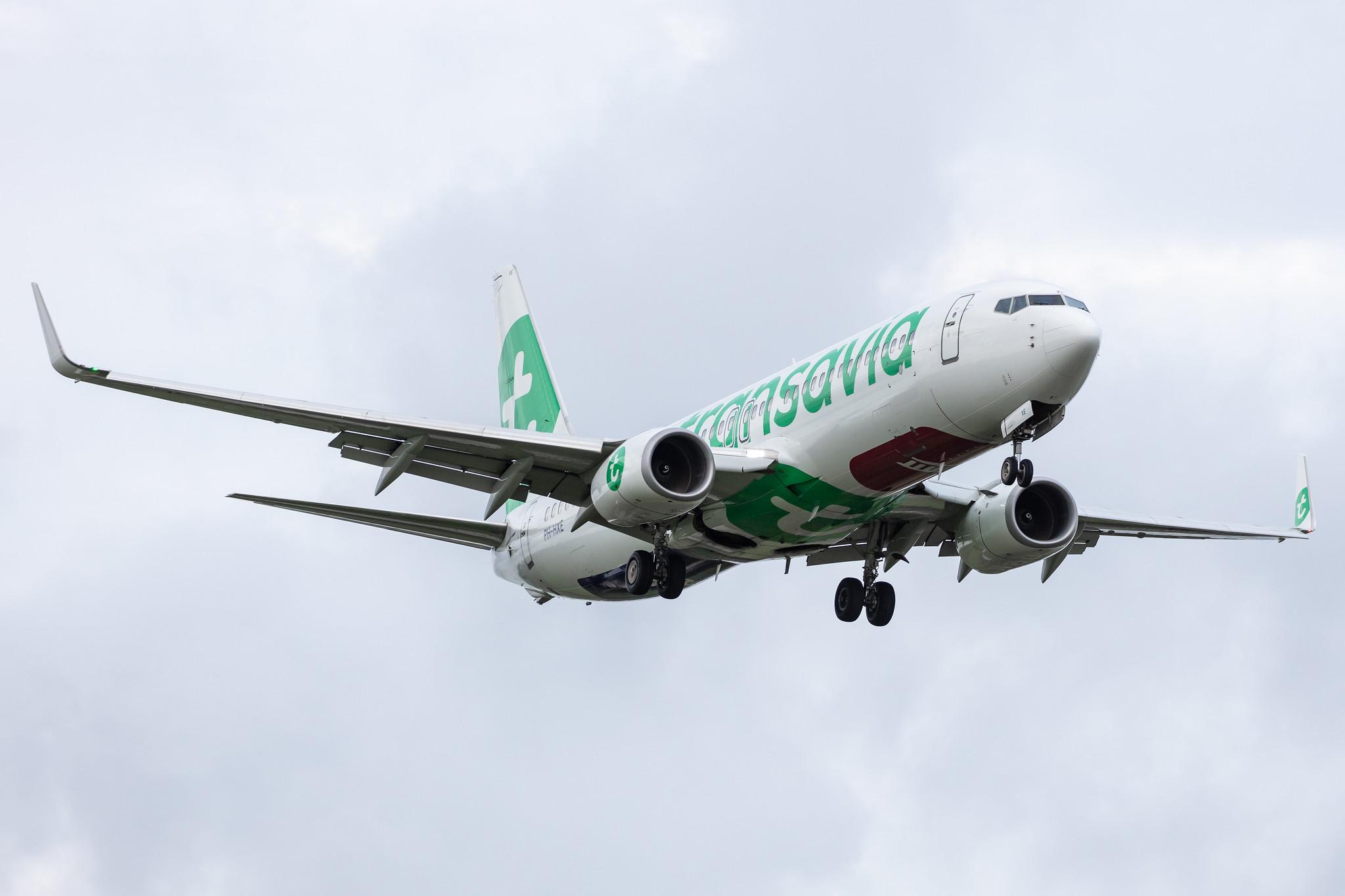 Amsterdam Airport Schiphol: Transavia (HV / TRA) |  Boeing 737-8K2 B738 | PH-HXE | MSN 61790
