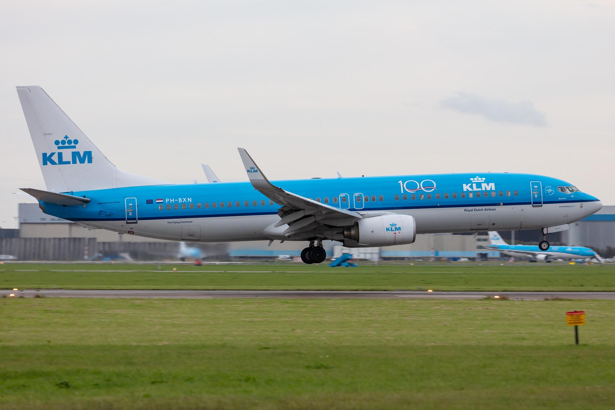 Amsterdam Airport Schiphol: KLM (KL / KLM) |  Boeing 737-8K2 B738 | PH-BXN | MSN 30356