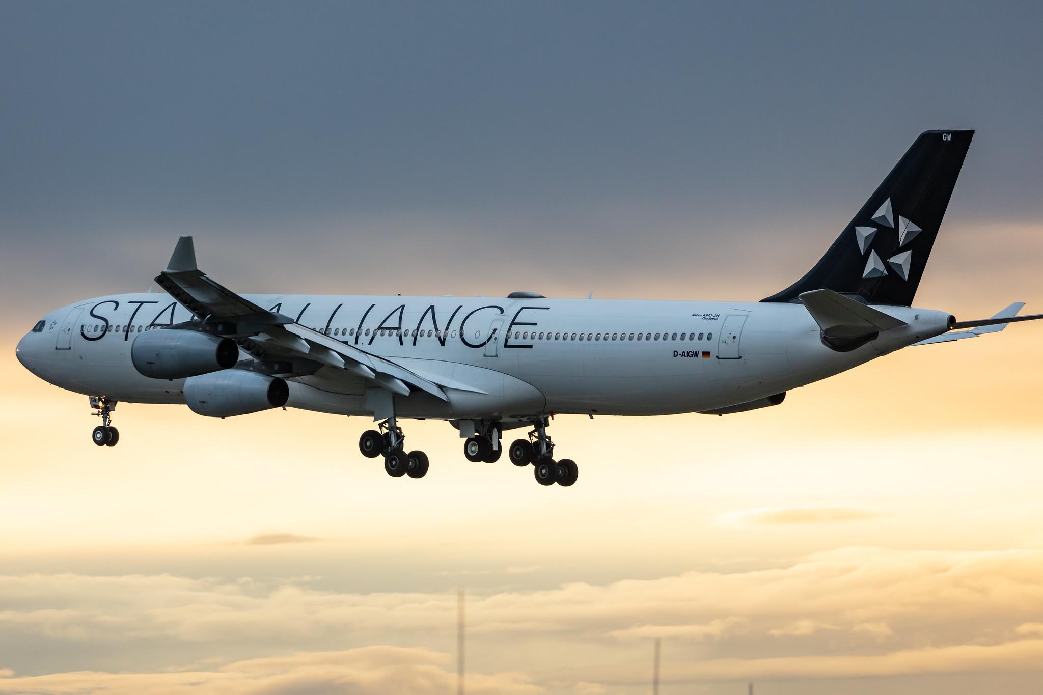 Frankfurt Airport: Lufthansa (LH / DLH) |  Livery: Star Alliance Livery |  Airbus A340-313 A343 | D-AIGW | MSN 0327
