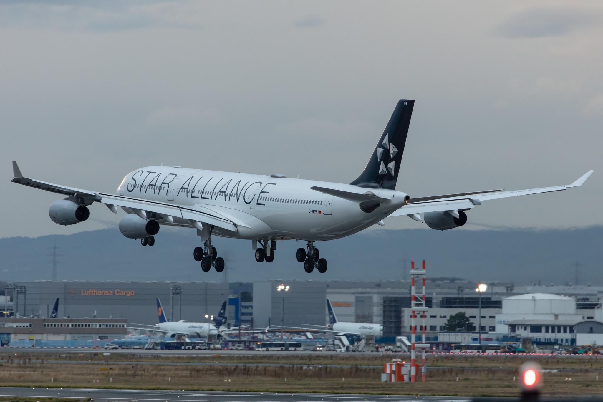 Frankfurt Airport: Lufthansa (LH / DLH) |  Livery: Star Alliance Livery |  Airbus A340-313 A343 | D-AIGW | MSN 0327