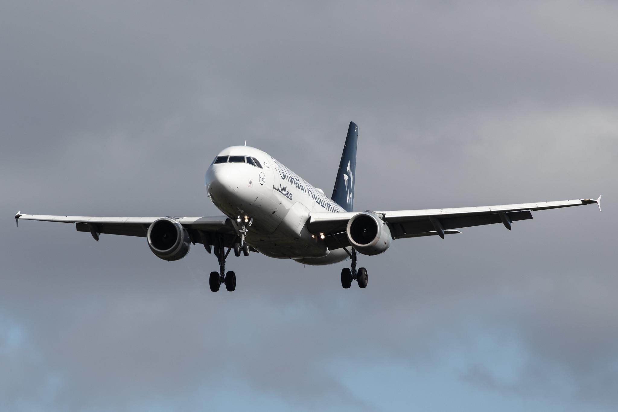 Frankfurt Airport: Lufthansa (LH / DLH) |  Livery: Star Alliance Livery |  Airbus A319-114 A319 | D-AILF | MSN 0636