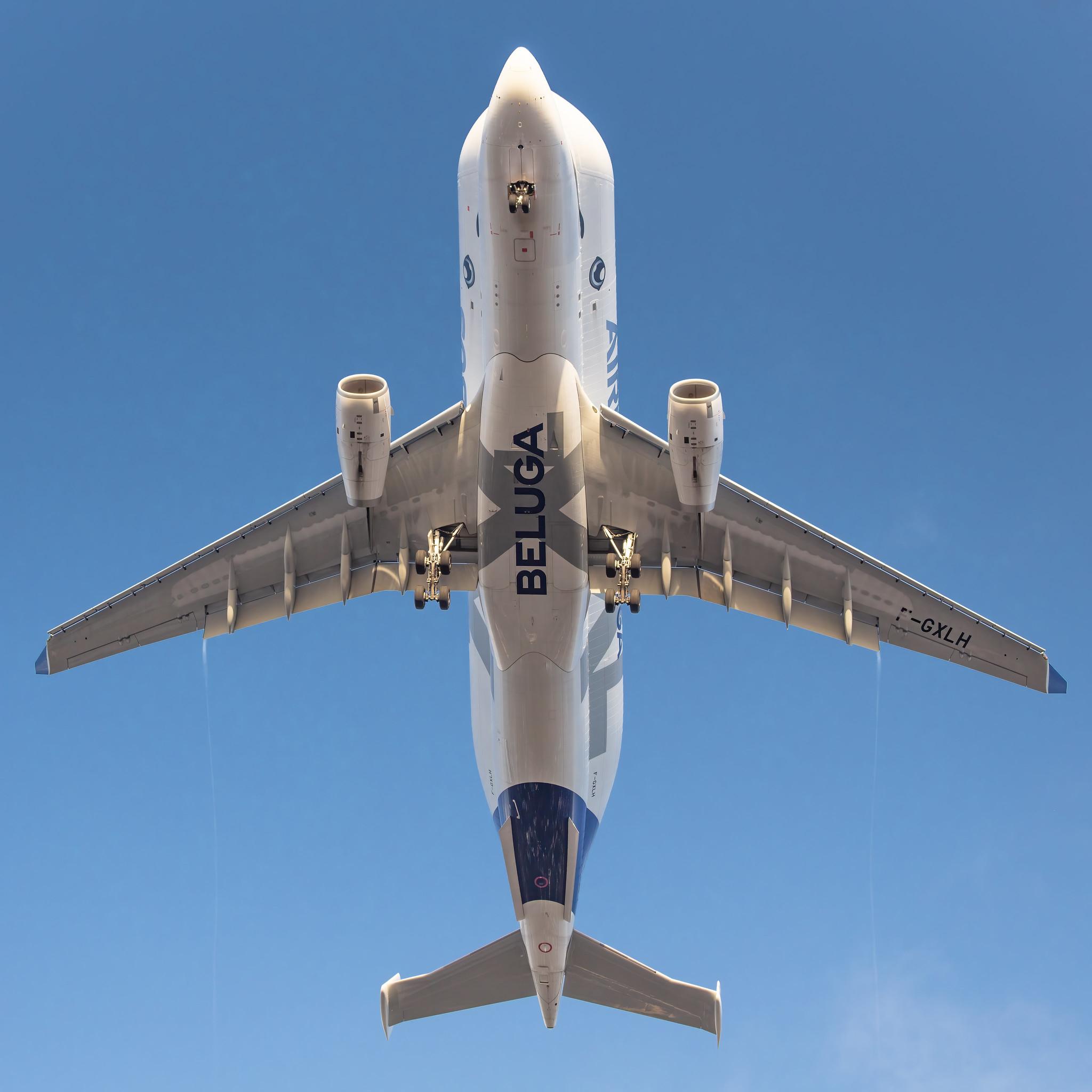 Hamburg Finkenwerder: Airbus Transport International (4Y / BGA) |  Airbus A330-743L Beluga XL A337 | F-GXLH | MSN 1853