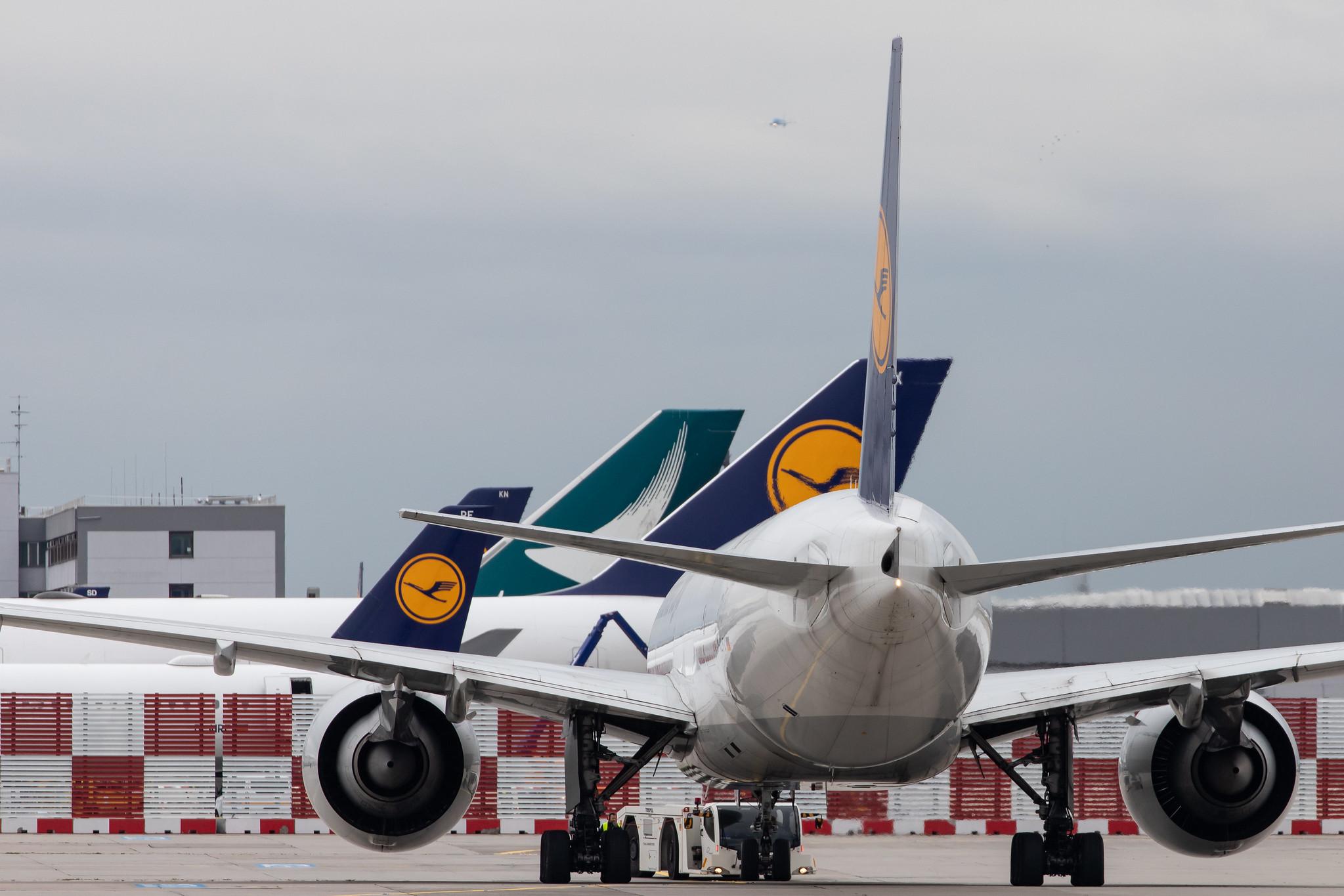 Frankfurt Airport: Lufthansa Cargo (/ GEC) |  Boeing 777-FBT B77L | D-ALFC | MSN 41676