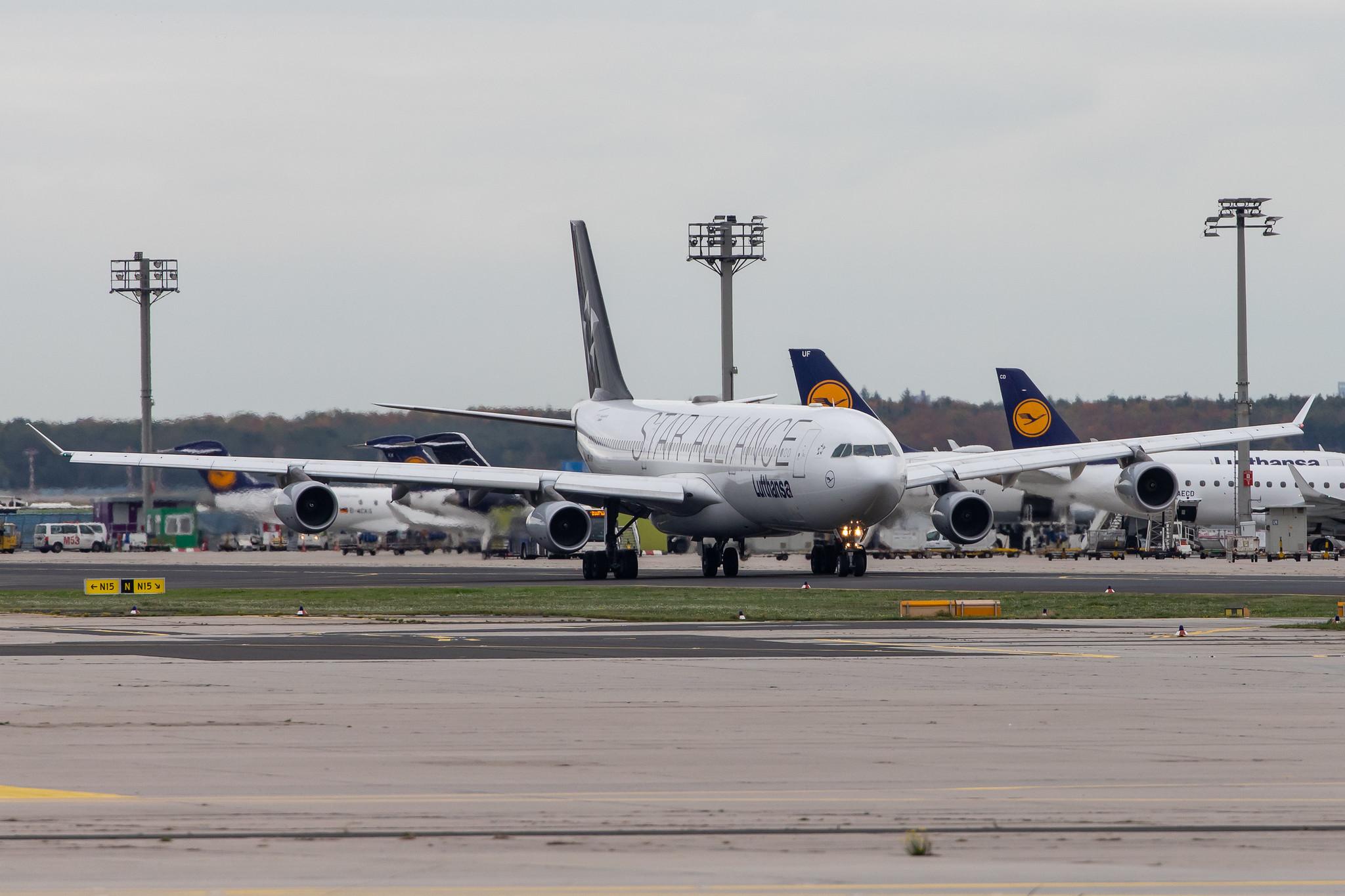 Frankfurt Airport: Lufthansa (LH / DLH) |  Livery: Star Alliance Livery |  Airbus A340-313 A343 | D-AIGV | MSN 0325