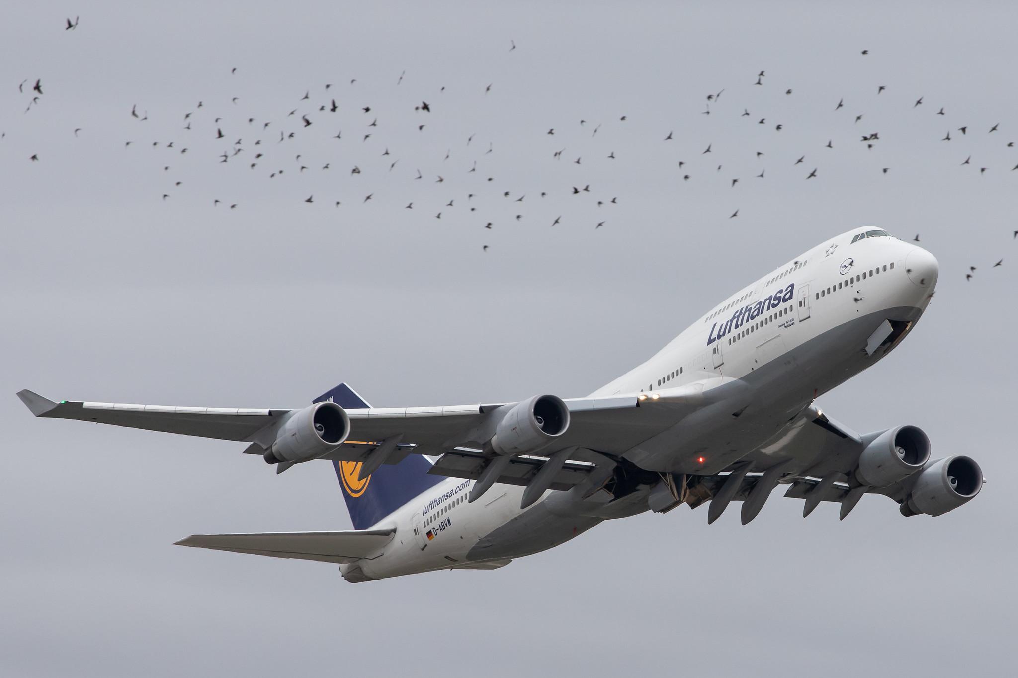 Frankfurt Airport: Lufthansa (LH / DLH) |  Boeing 747-430 B744 | D-ABVW | MSN 29493