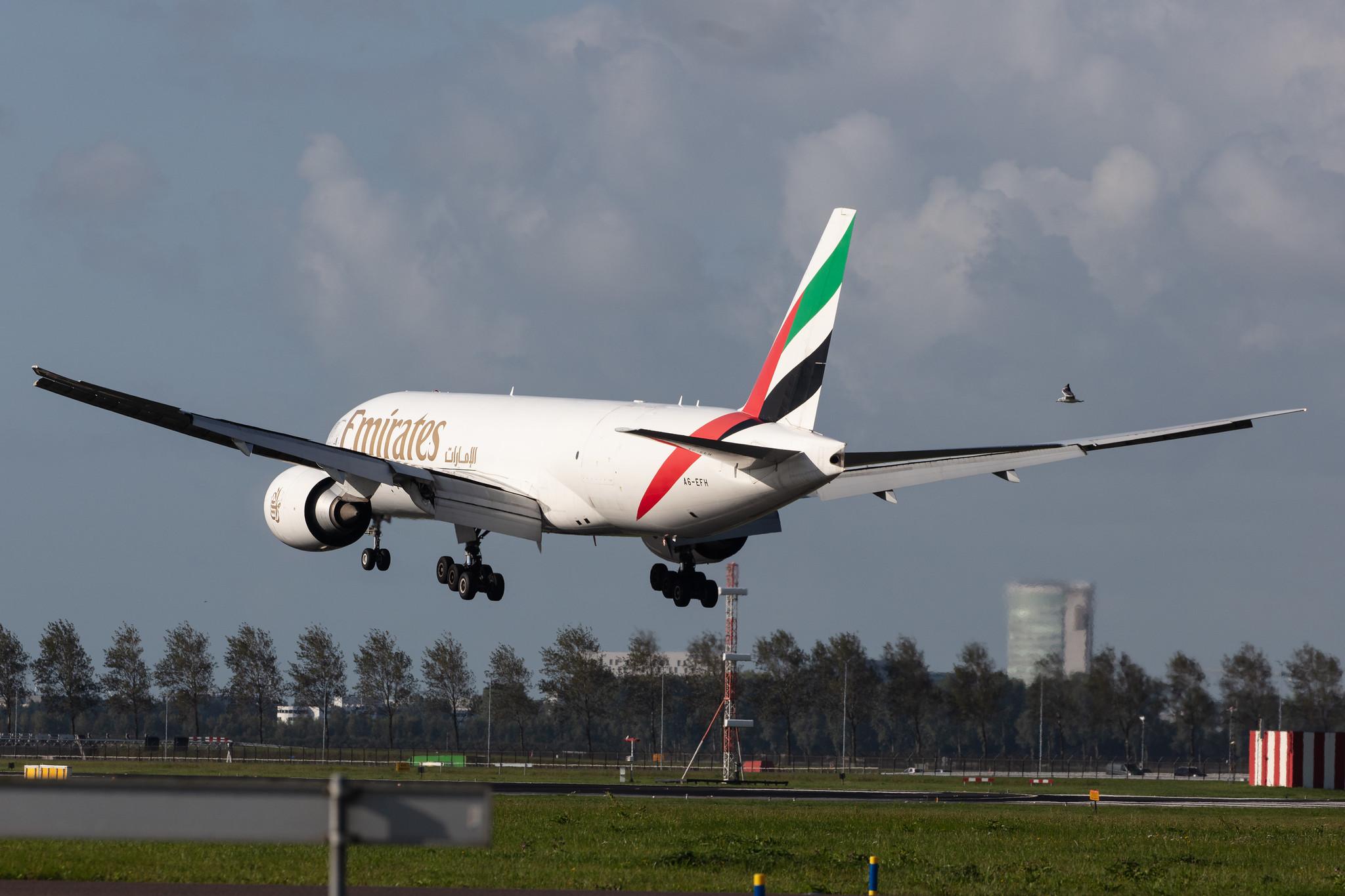 Amsterdam Airport Schiphol: Emirates SkyCargo (EK / UAE) | Operator: Emirates |  Boeing 777-F1H B77L | A6-EFH | MSN 35608