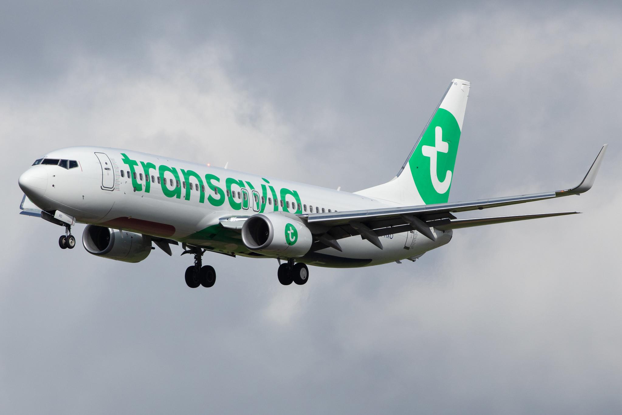 Amsterdam Airport Schiphol: Transavia (HV / TRA) |  Boeing 737-8K2 B738 | PH-HXO | MSN 62577